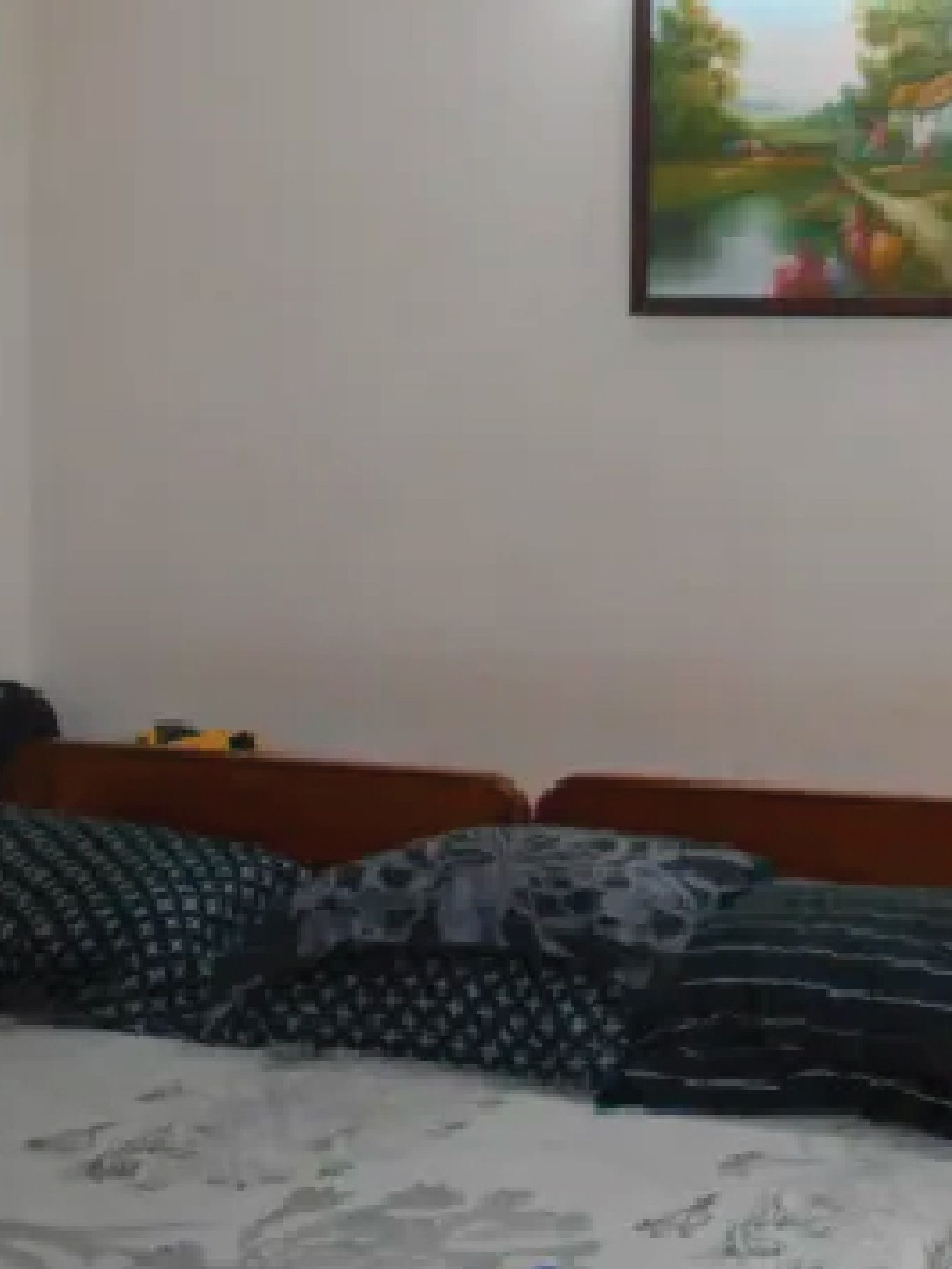 before_scratch_picture