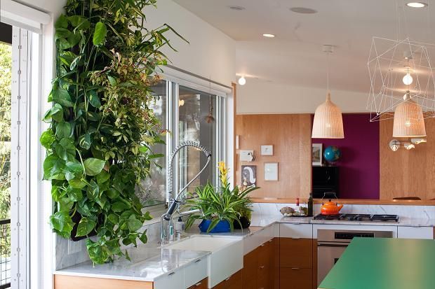 eco-friendly kitchen