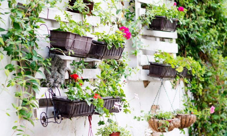 5 Creative DIY Ideas To Grow A Vertical Garden