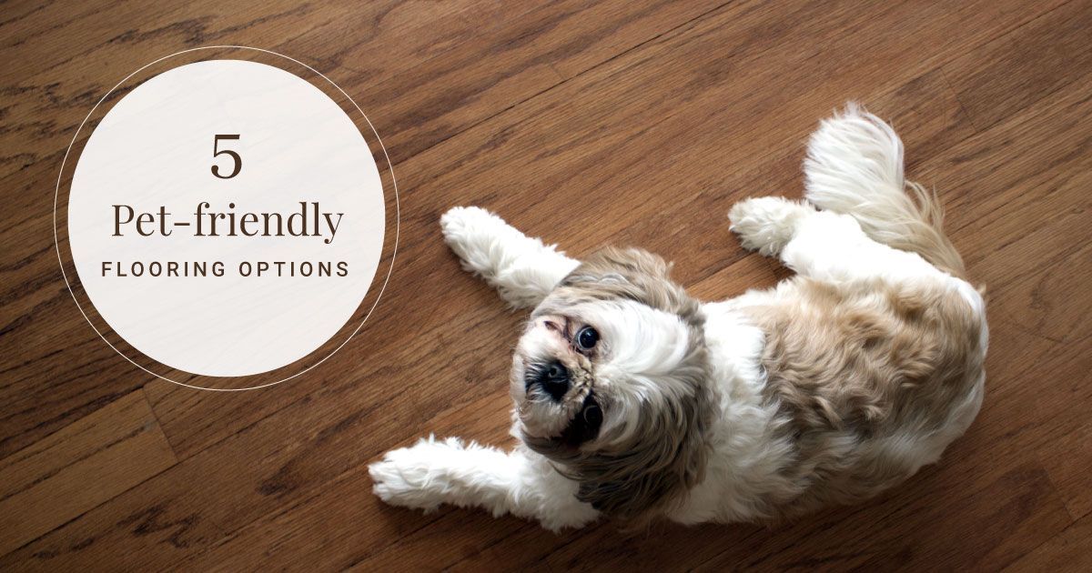 Pet friendly flooring Blog Cover
