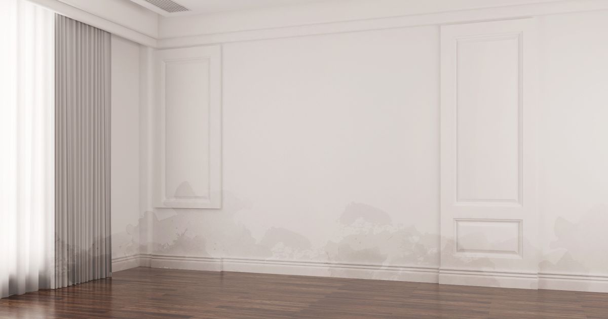 Effective Ways To Prevent Damp Walls During The Monsoon