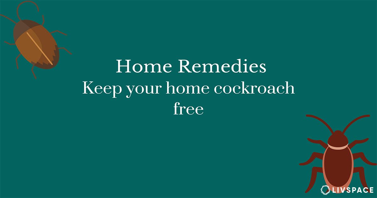 home remedies for cockroaches