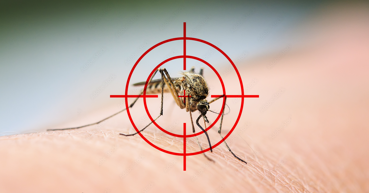 5 Ways to Get Rid of Mosquito Bites Quickly, According to Doctors