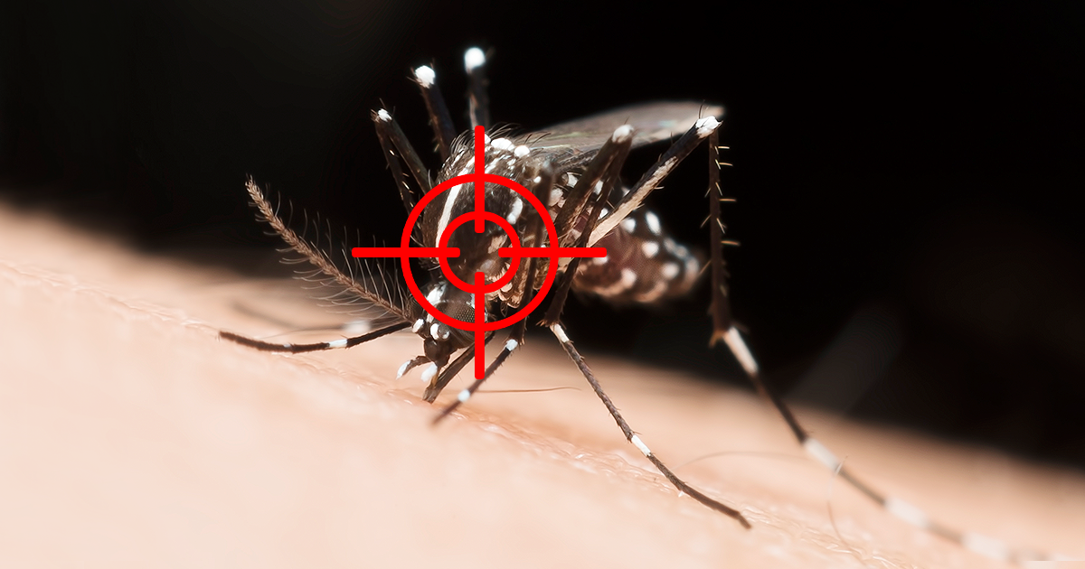 symptoms-of-dengue-prevention-and-control