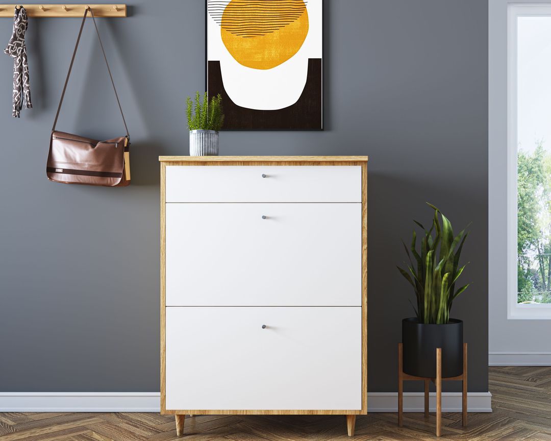 Illustration of Scandinavian Inspired Penthouse Foyer Designs