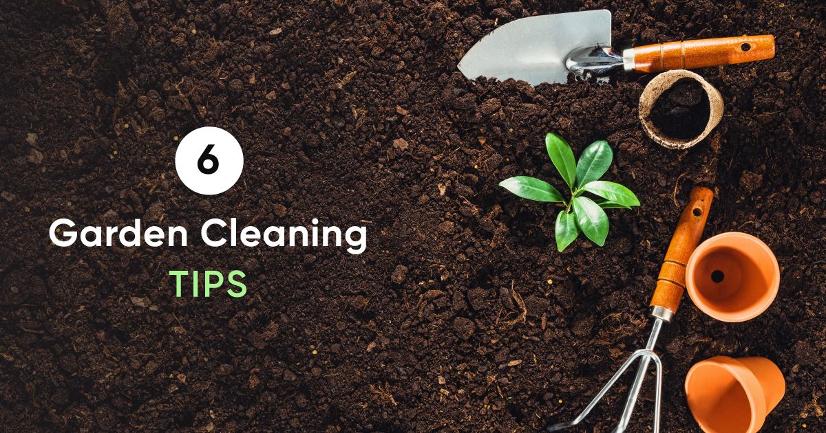 6 Simple Garden Cleaning Tips to Prep up your Garden