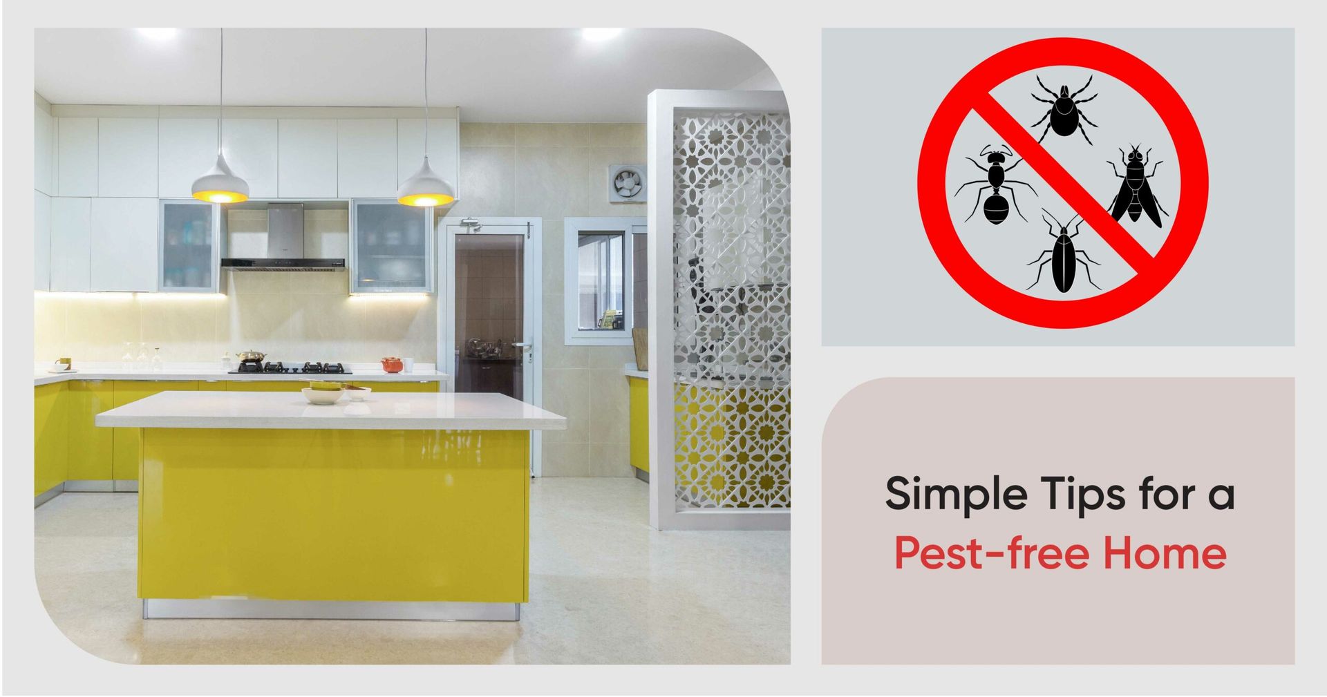 How to Get Rid of Insects in Apartments The Complete Guide