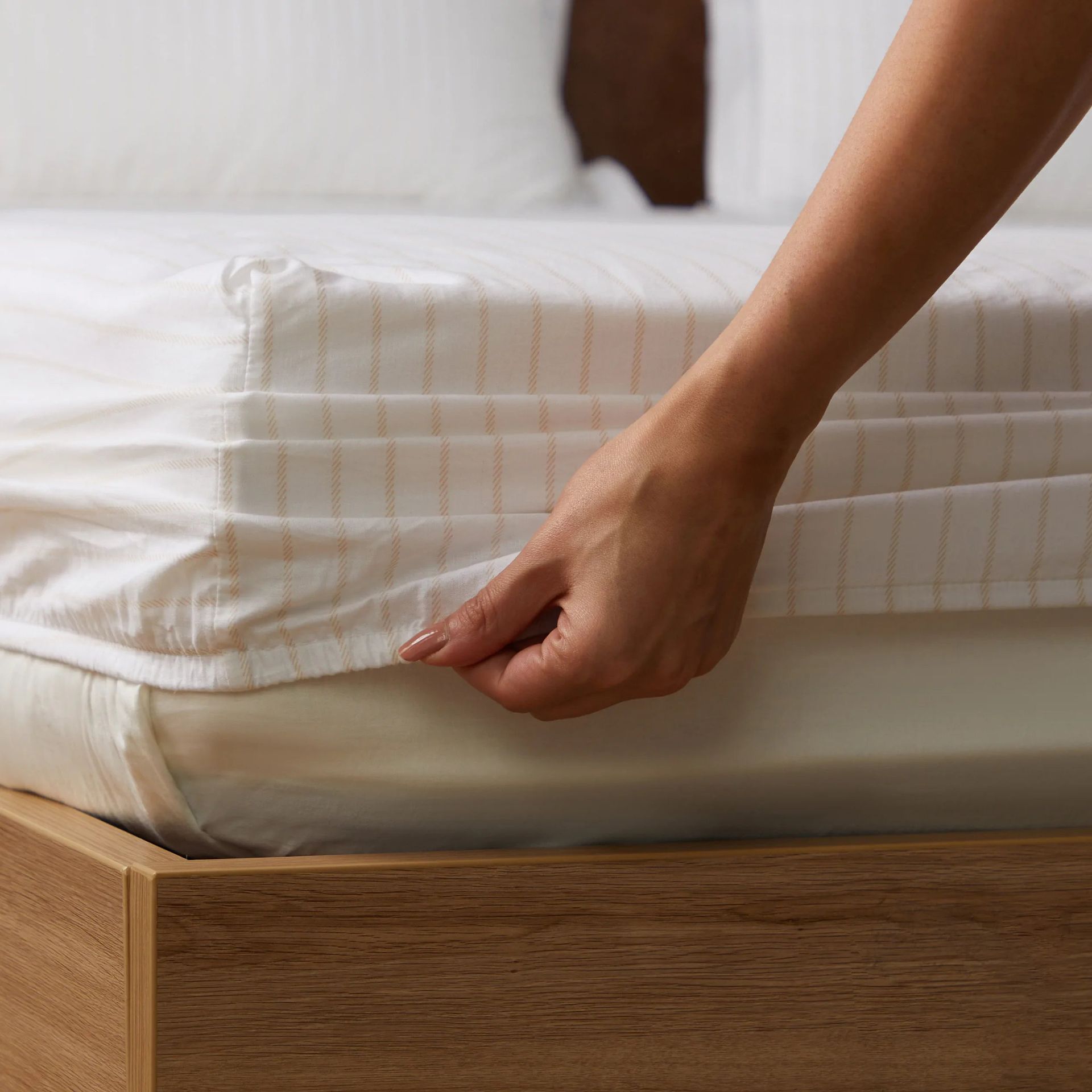Geometric 144 TC 100% Cotton Beige Queen Fitted Sheet Set | Bloomshire Classic