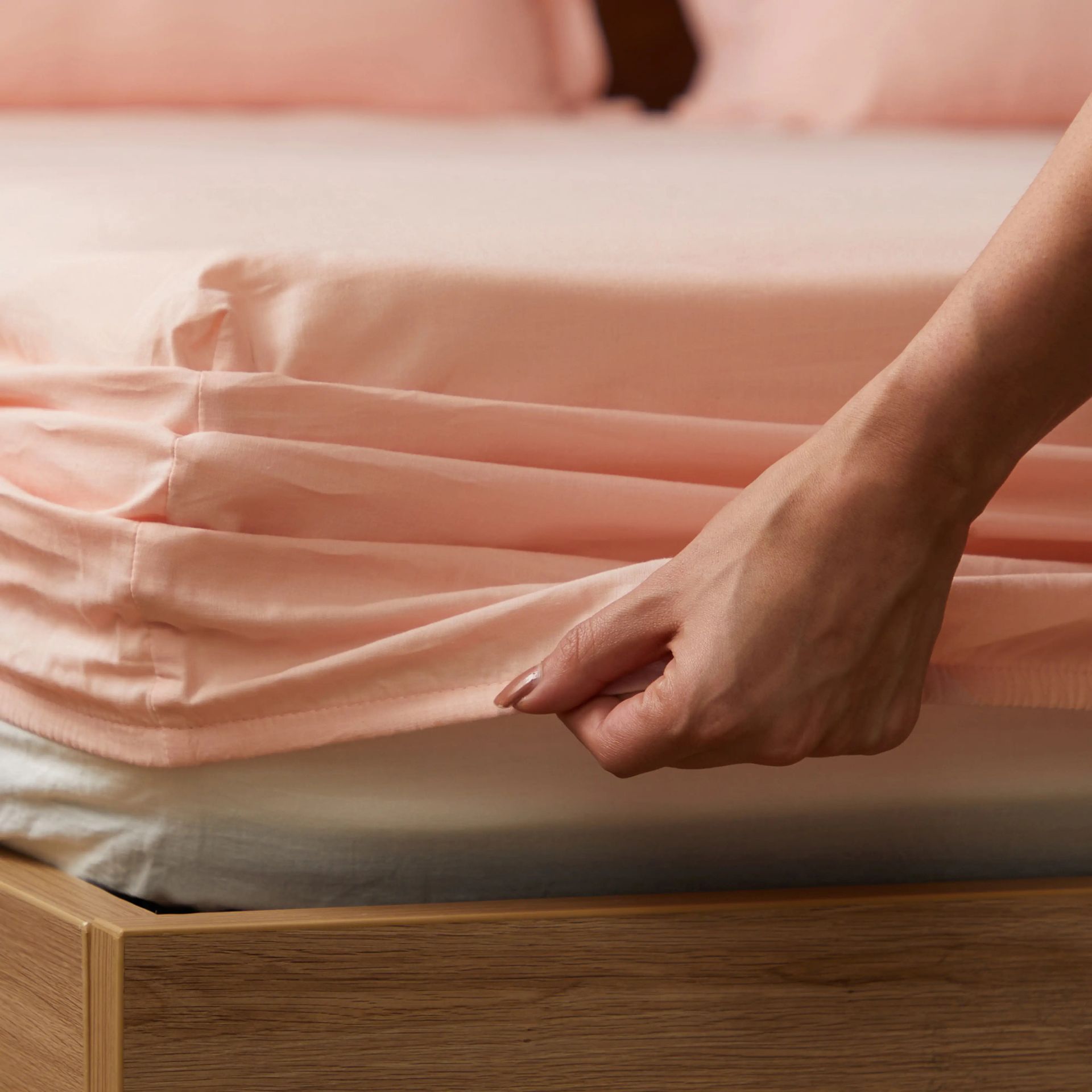 Solid Dyed 144 TC 100% Cotton Veiled Rose Queen Fitted Sheet Set | Paleto