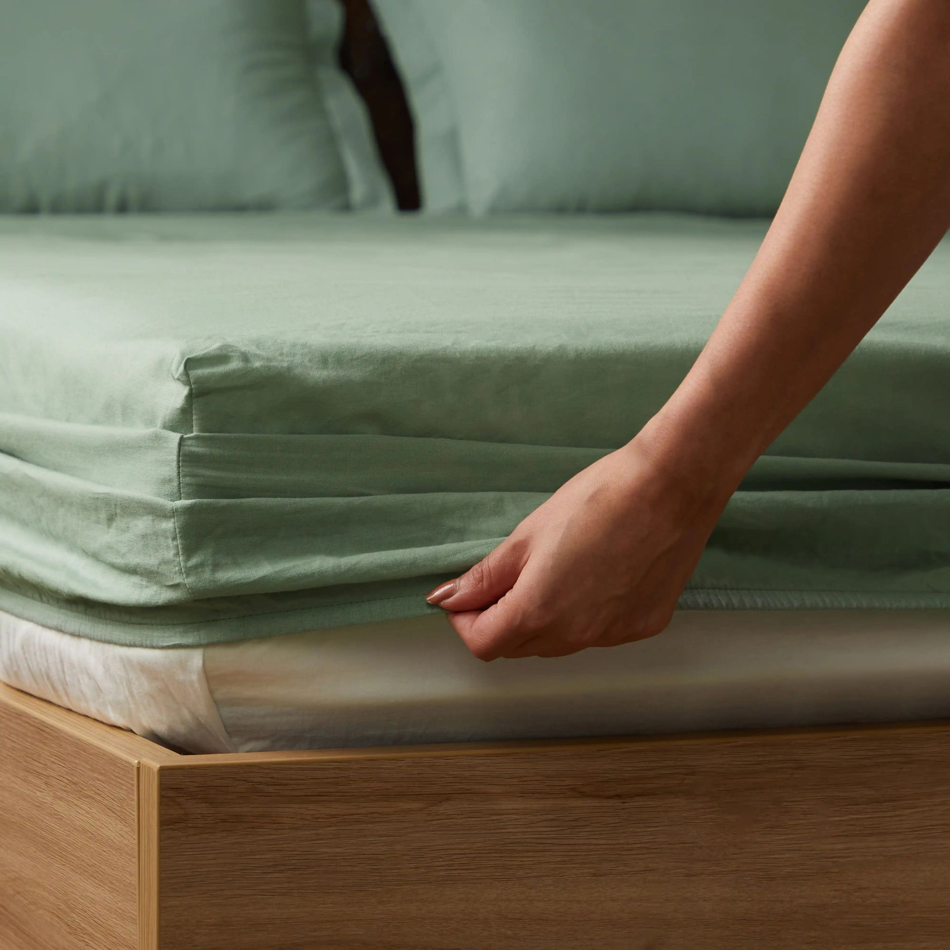 Solid Dyed 144 TC 100% Cotton Green Sage Queen Fitted Sheet Set | Paleto