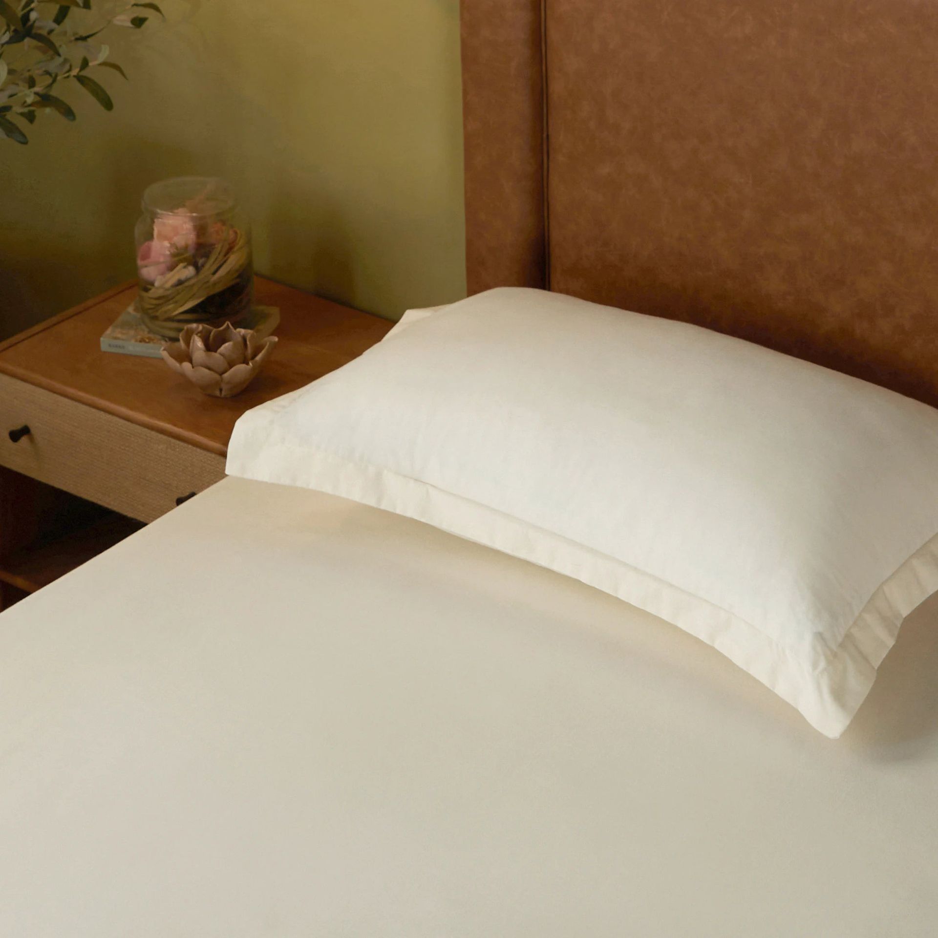 Solid Dyed 144 TC 100% Cotton Ivory Single Bedsheet Set | Paleto
