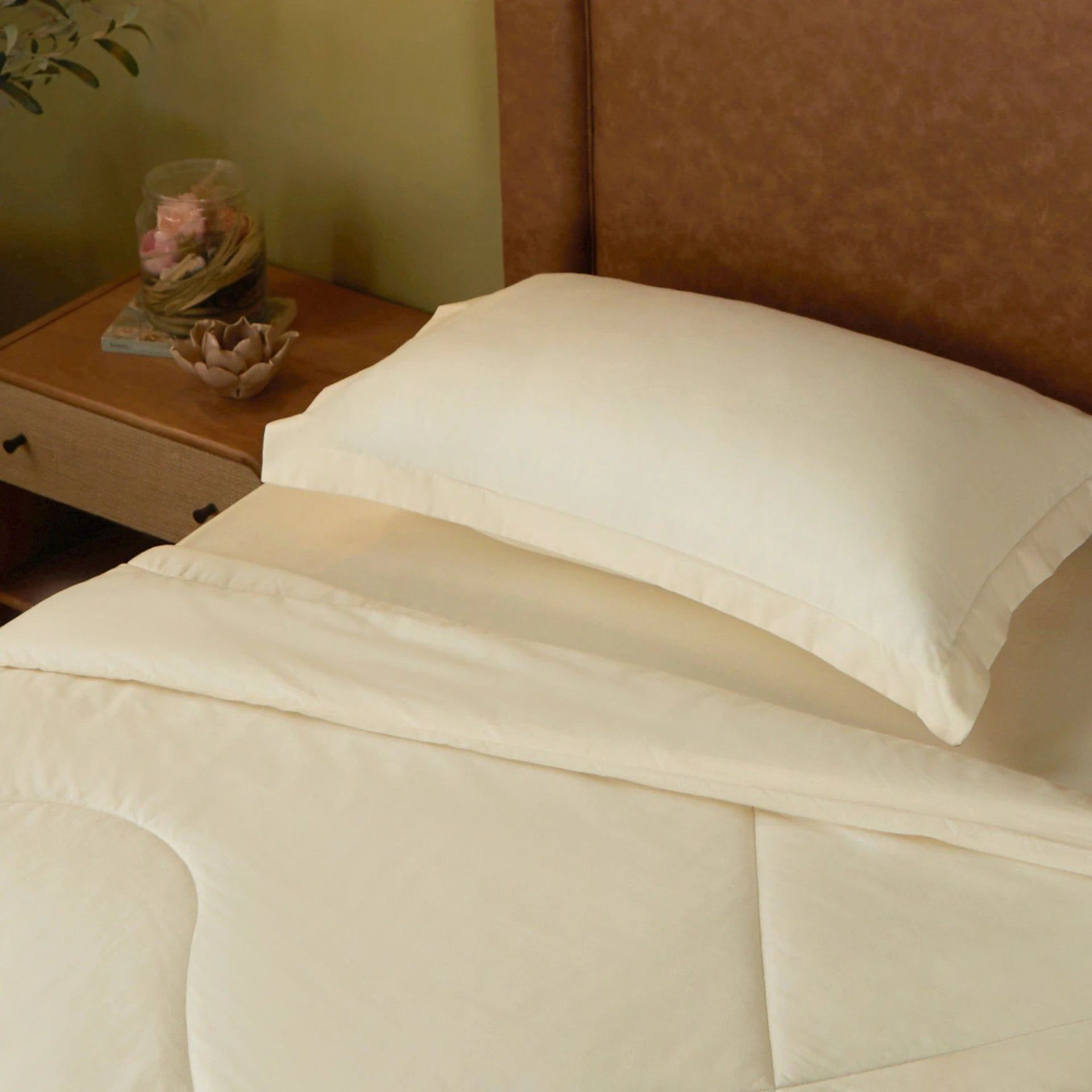 Solid Dyed 120 GSM Cotton Ivory Single Comforter | Paleto