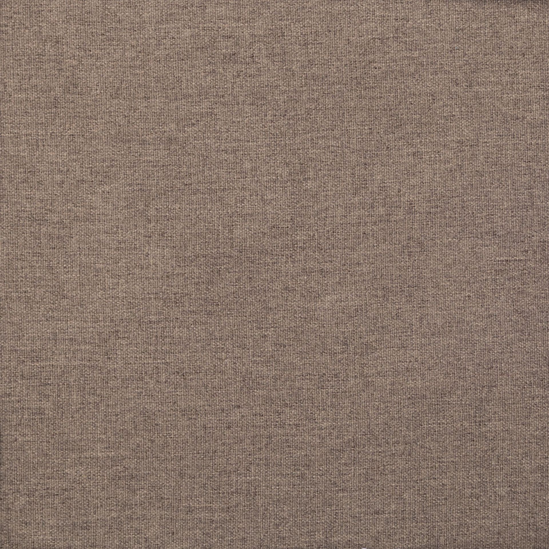 Chestnut Brown