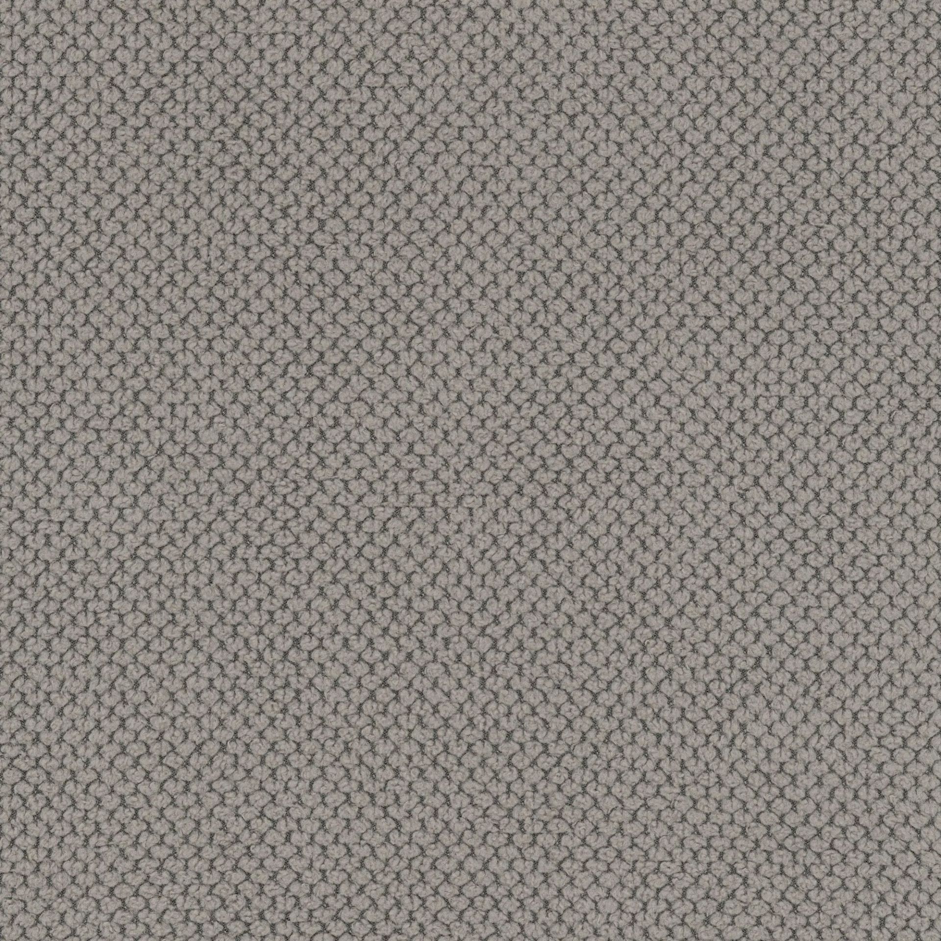 Clay Beige