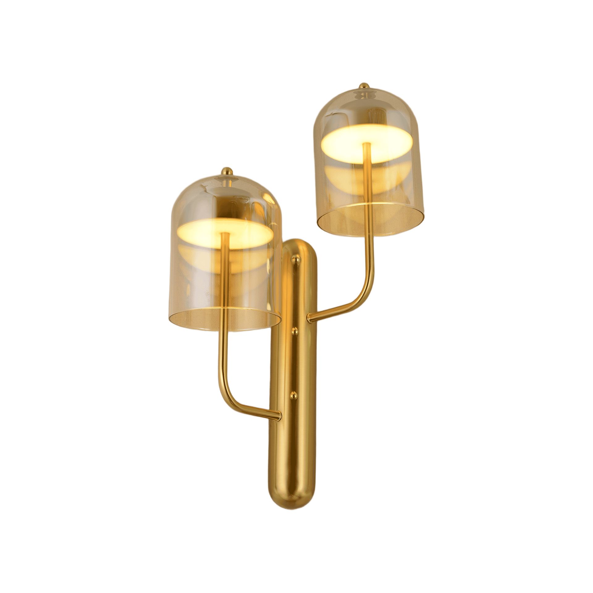 Livspace Peal Twin Wall Light | Gold + Amber
