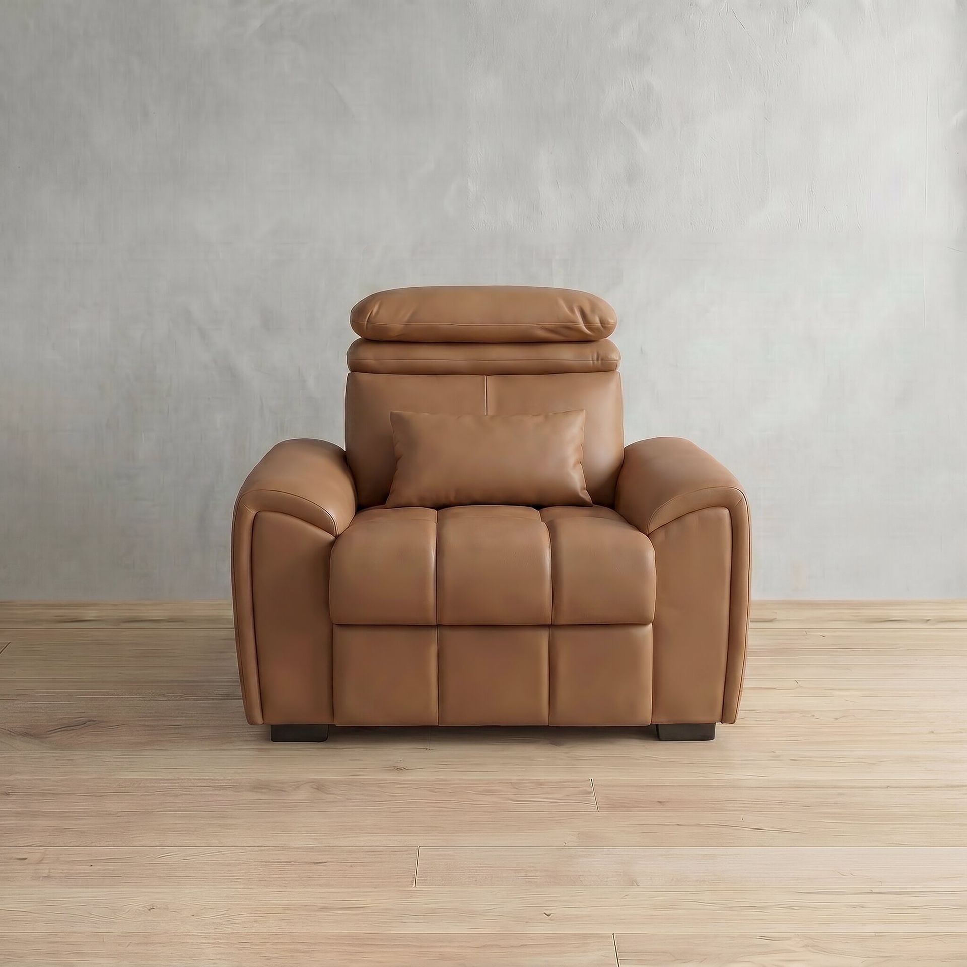 Eldur Electric Recliner