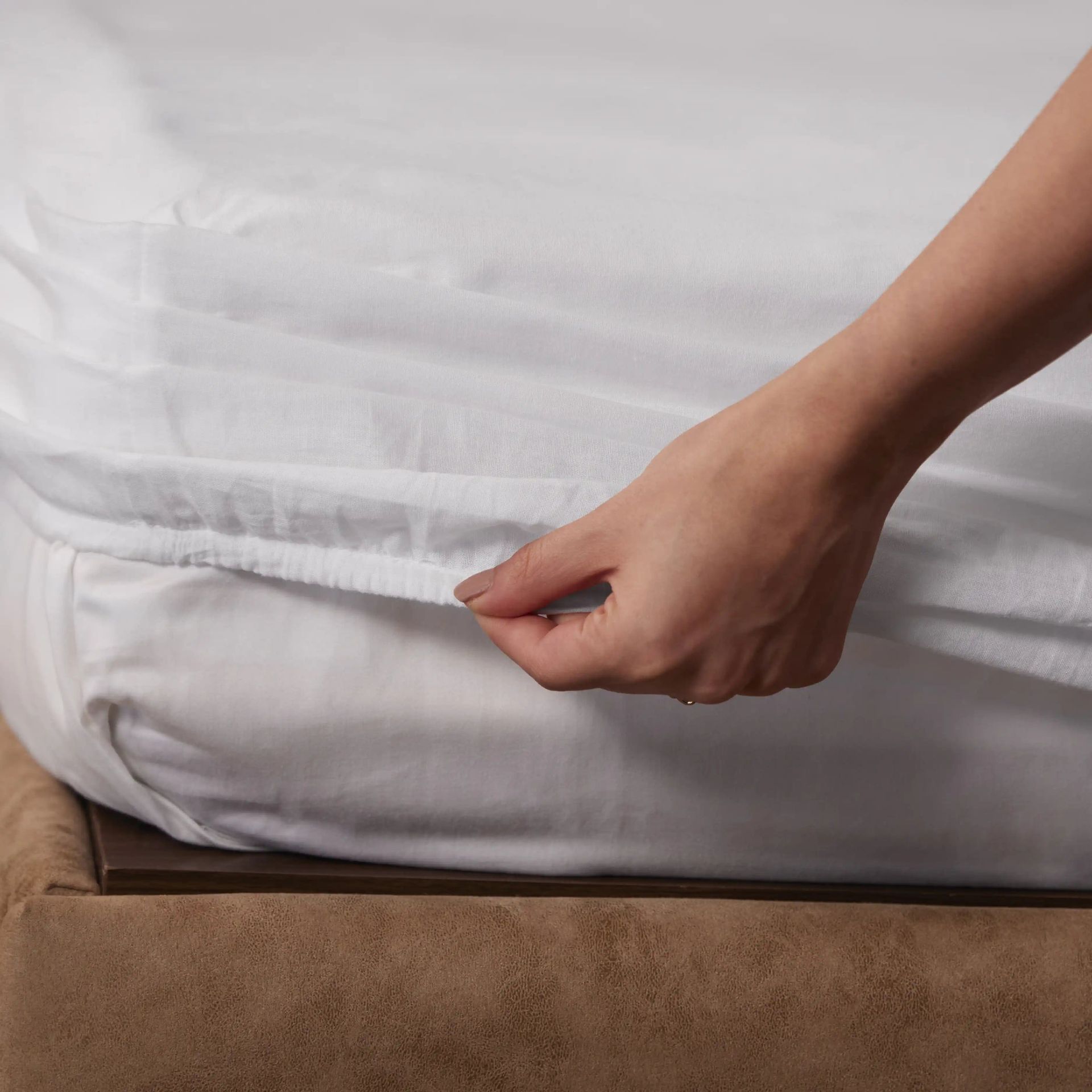 Solid Dyed 144 TC 100% Cotton White Queen Fitted Sheet Set | Paleto