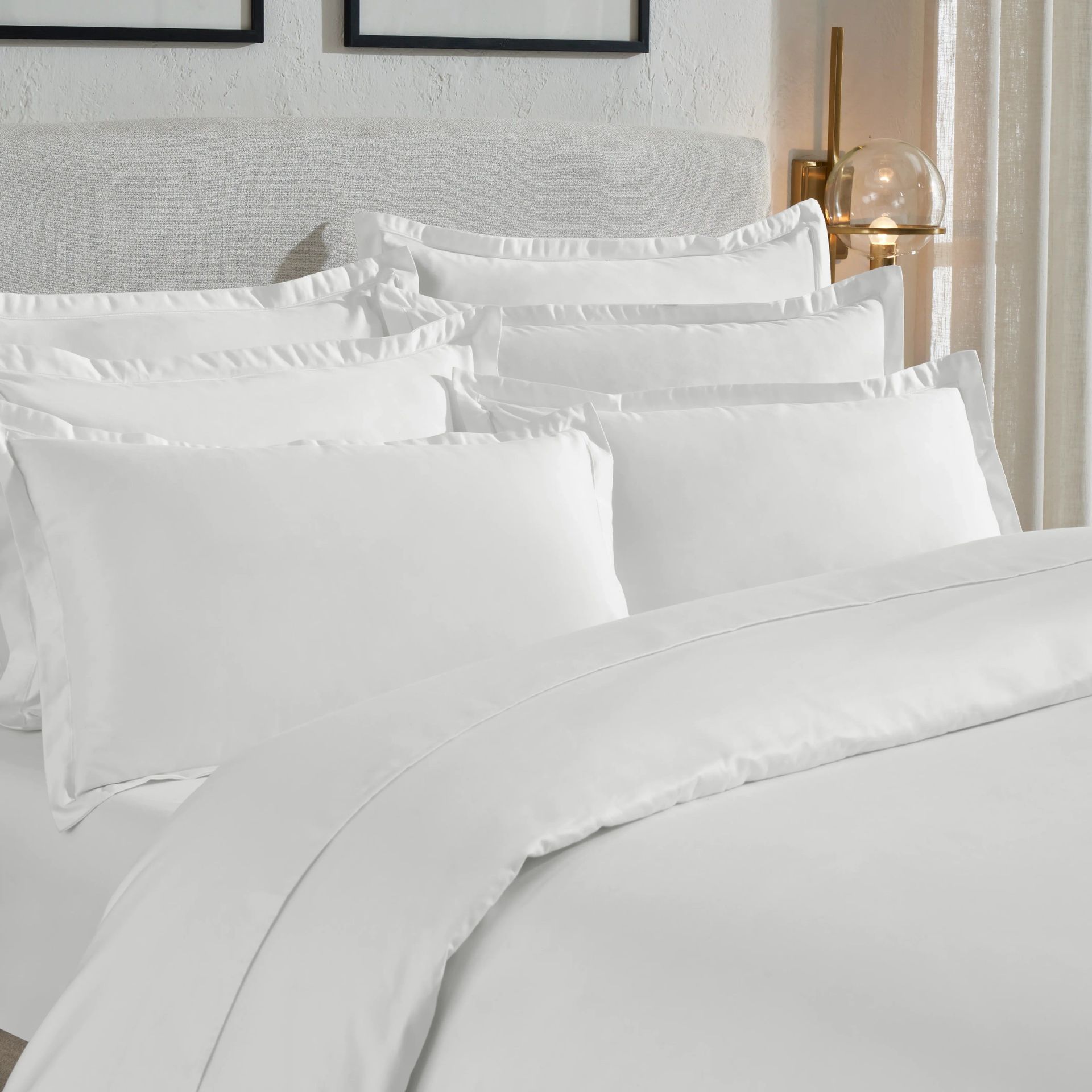 Solid Dyed 800 TC 100% Cotton White King Fitted Sheet Set | Pelushe