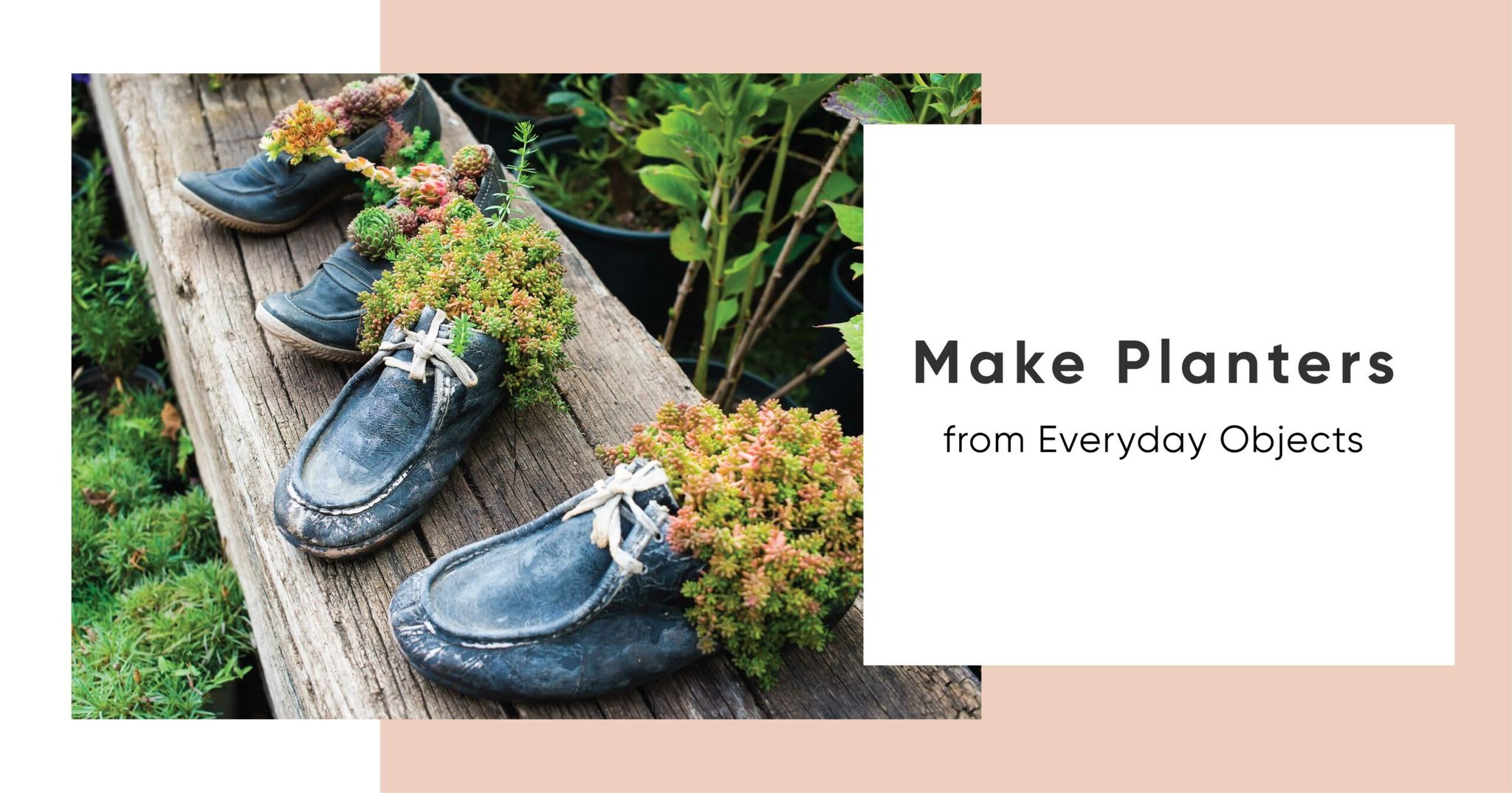 DIY Plant Pots: 7 Everyday Objects to Turn Into Planters