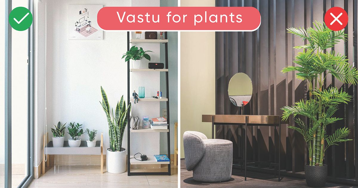 An Exclusive Guide To Plant Vastu Shastra