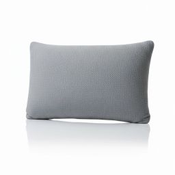 Solid Grey Latex Feel Foam Pillow with Charcoal Treated Fabric | Cloud Lite