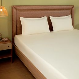 Solid Dyed 144 TC 100% Cotton Ivory Queen Fitted Sheet Set | Paleto