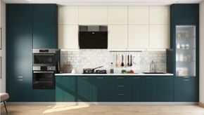 Minimalistic straight-line kitchen