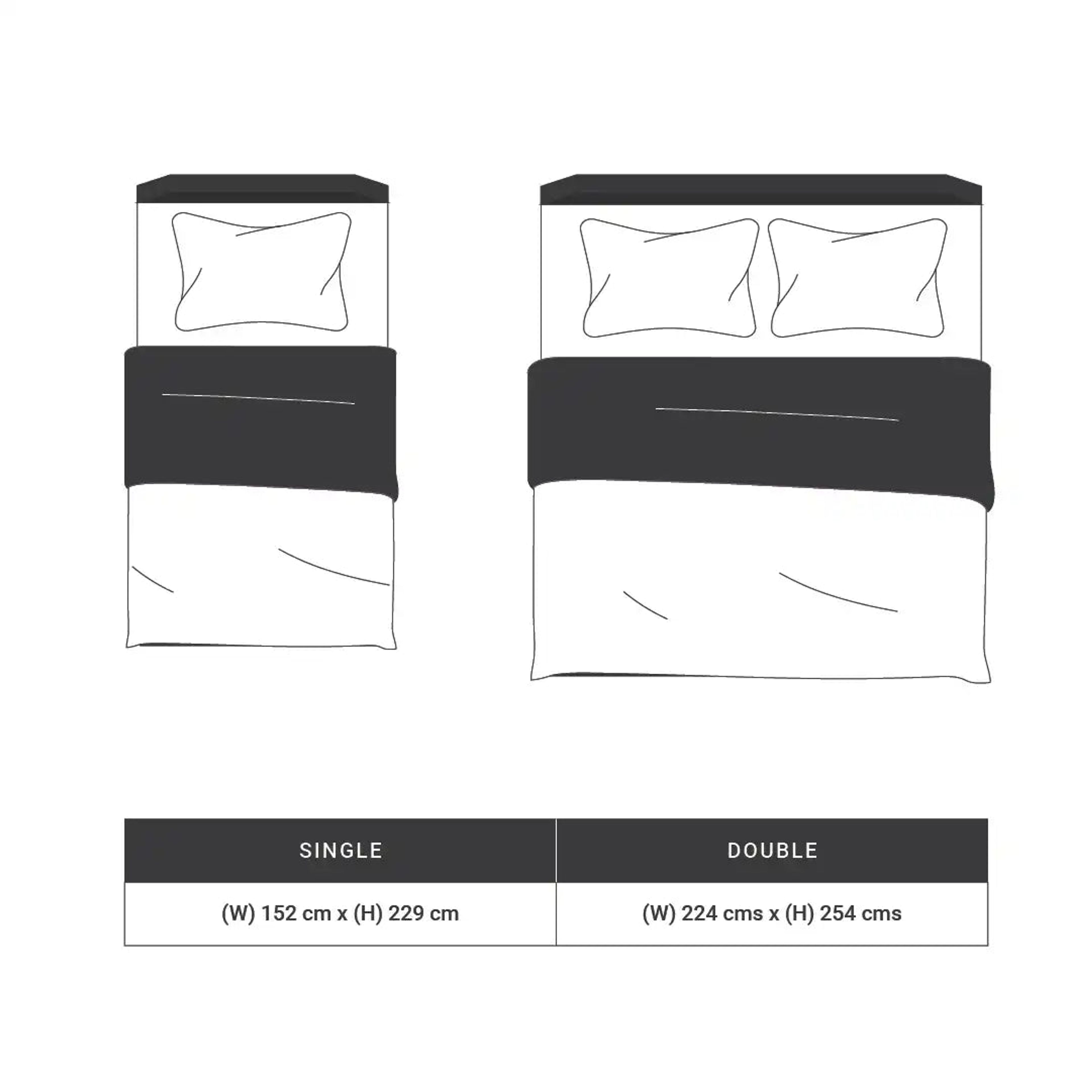 Paleto | Everyday Hues Cotton Solid Dyed 120GSM Comforter-Navy