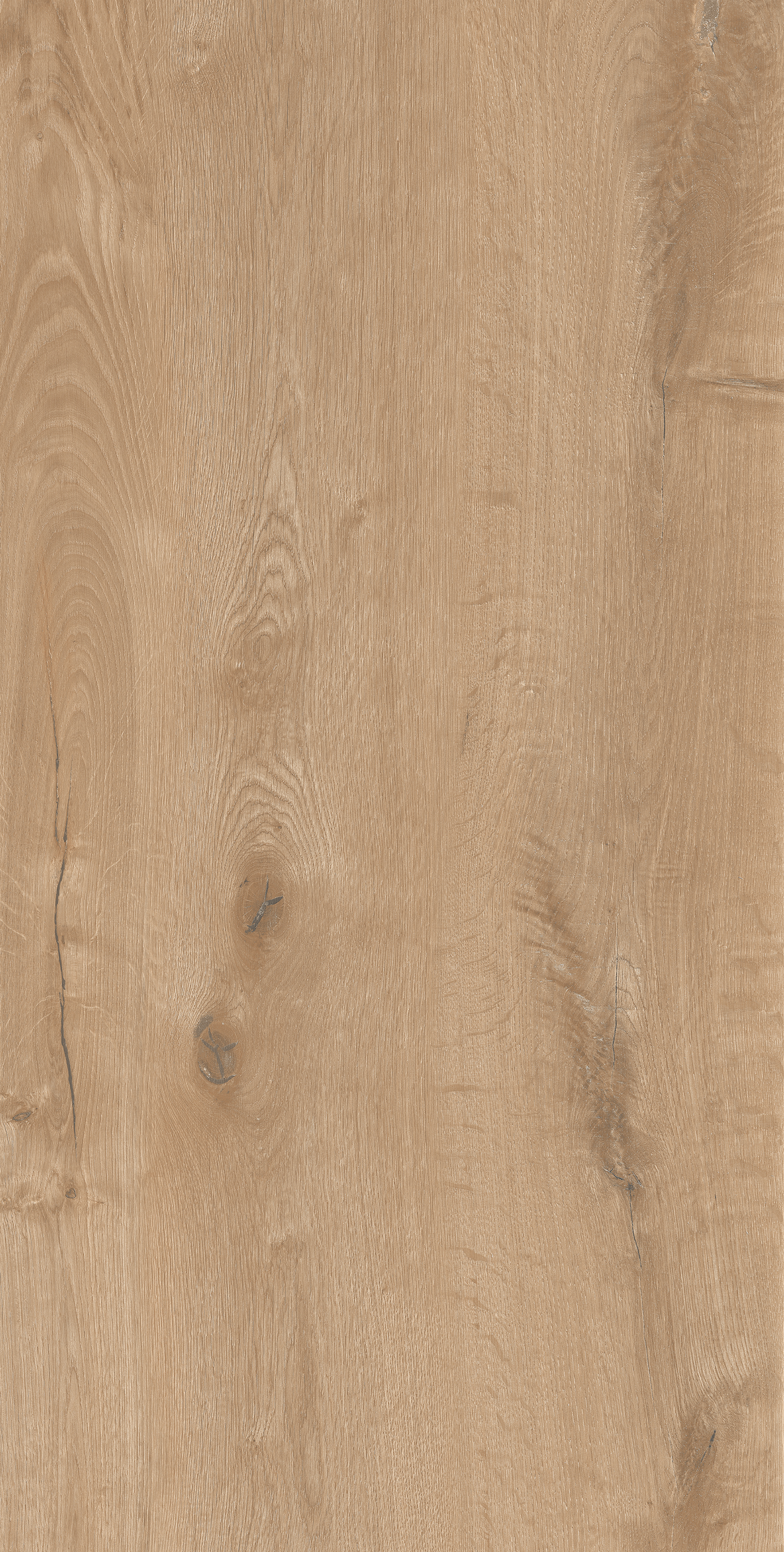 Maple Honey Plank, Terracotta, Wood, Tiles - Vitrified - Full Body, 4 x 2 ft, 9 mm