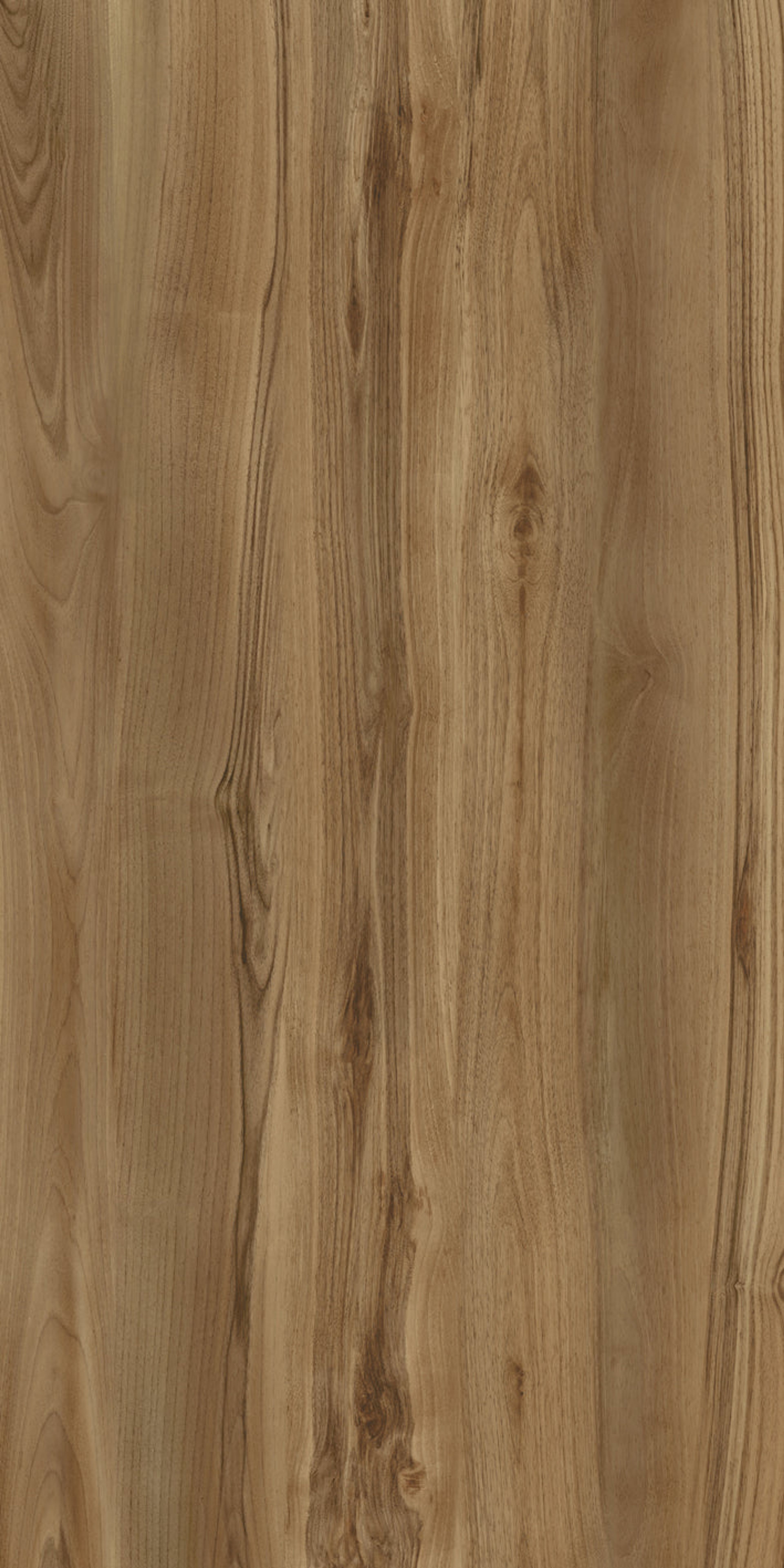 Teak Honey Plank, Teak Light Brown, Wood, Tiles - Vitrified - Full Body, 4 x 2 ft, 9 mm