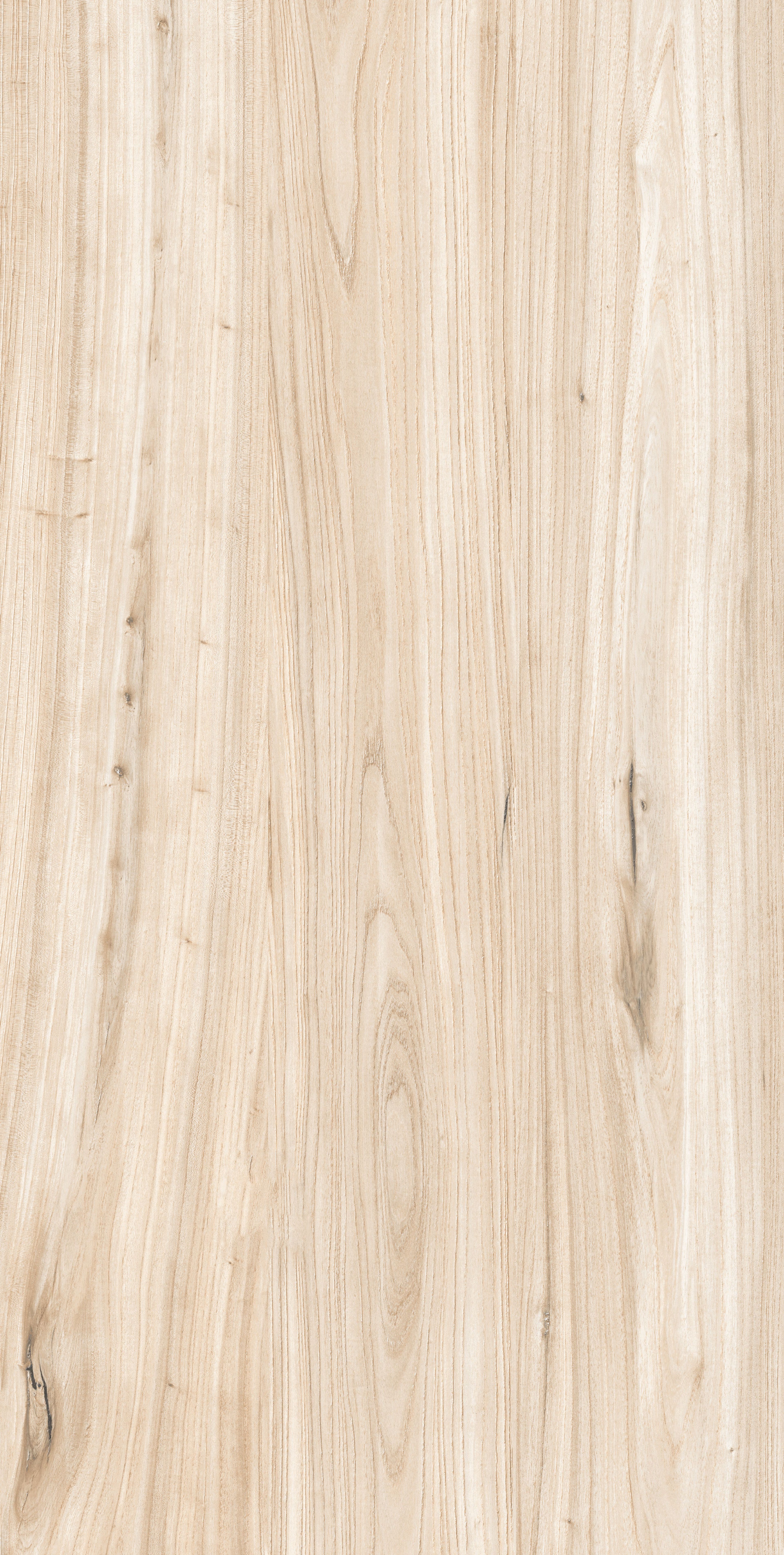 Pine Driftwood Plank, Beige, Wood, Tiles - Vitrified - Full Body, 4 x 2 ft, 9 mm
