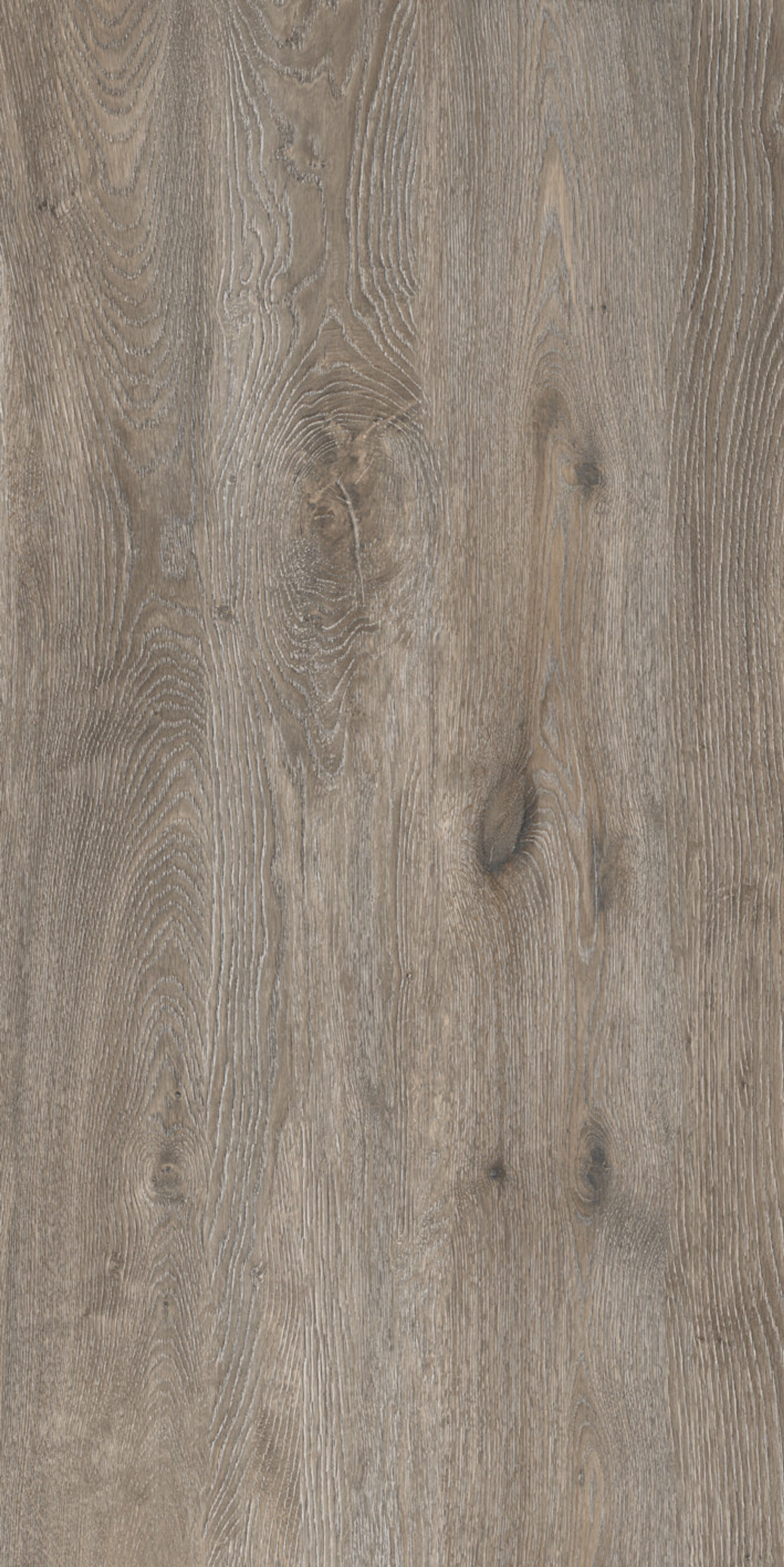 Classic Honey Plank, Dark Brown, Wood, Tiles - Vitrified - Full Body, 4 x 2 ft, 9 mm