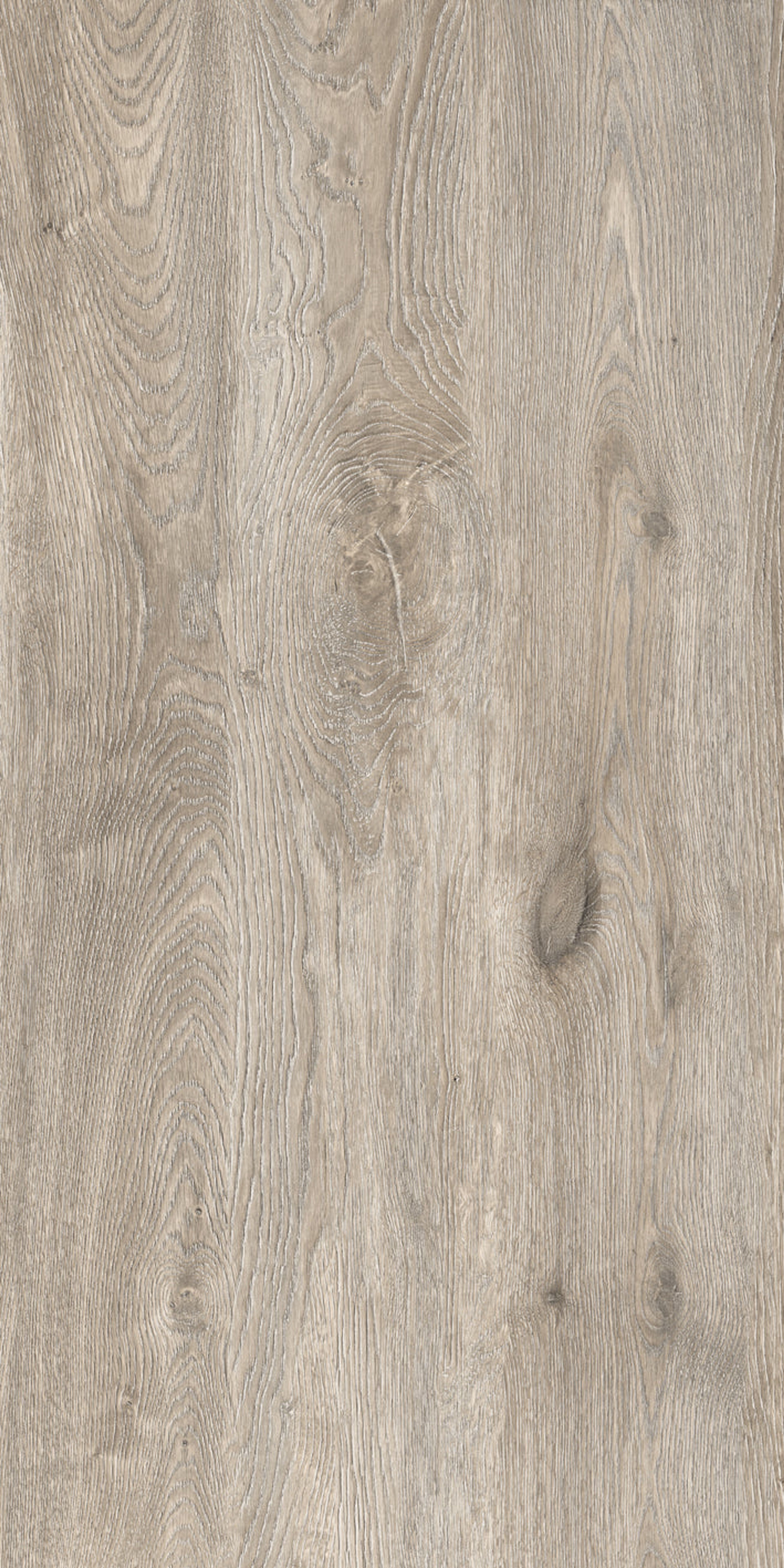 Ash Driftwood Plank, Medium Grey, Wood, Tiles - Vitrified - Full Body, 4 x 2 ft, 9 mm