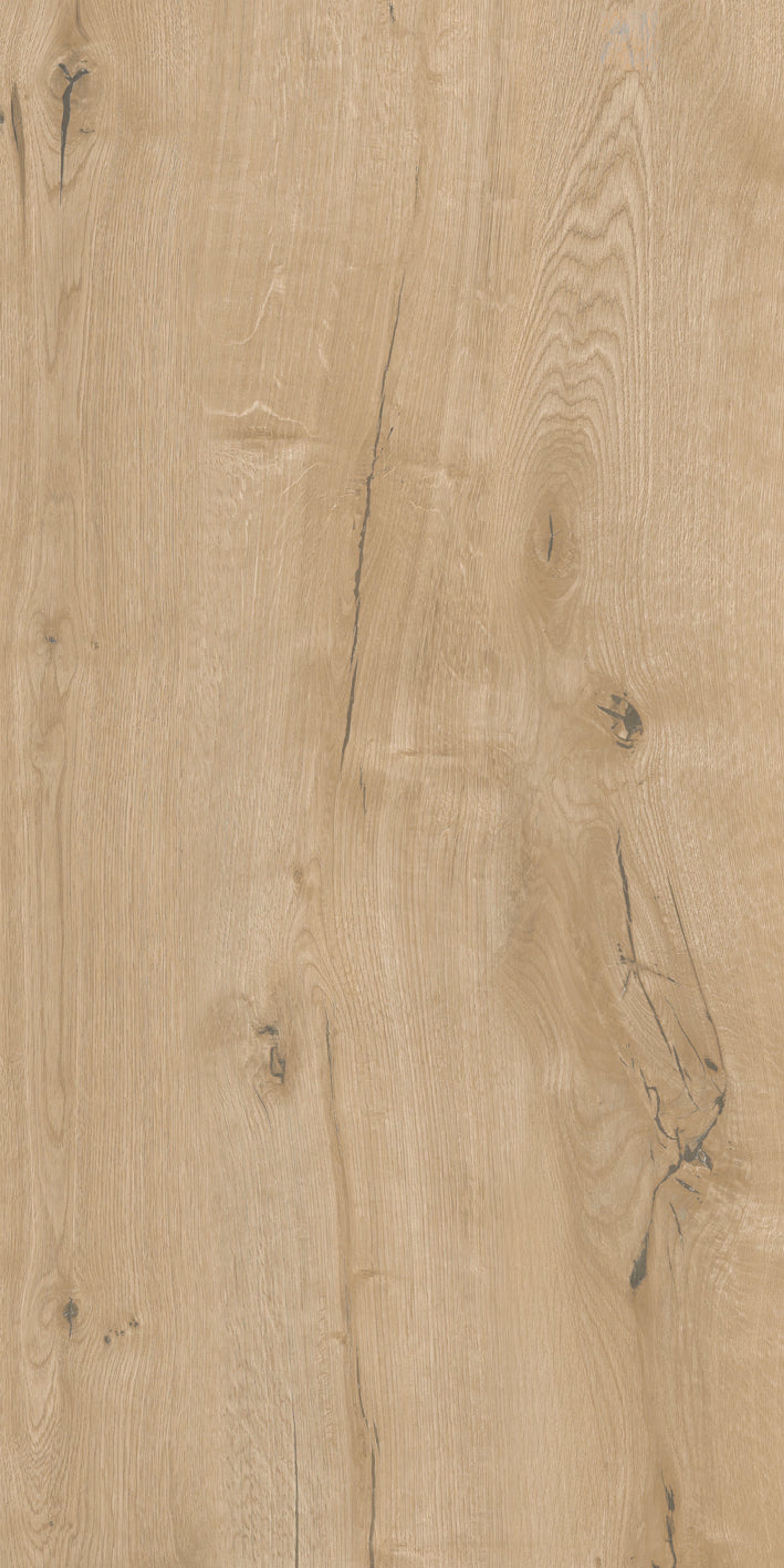 Dakota Natural Wood Plank, Terracotta, Wood, Tiles - Vitrified - Full Body, 4 x 2 ft, 9 mm