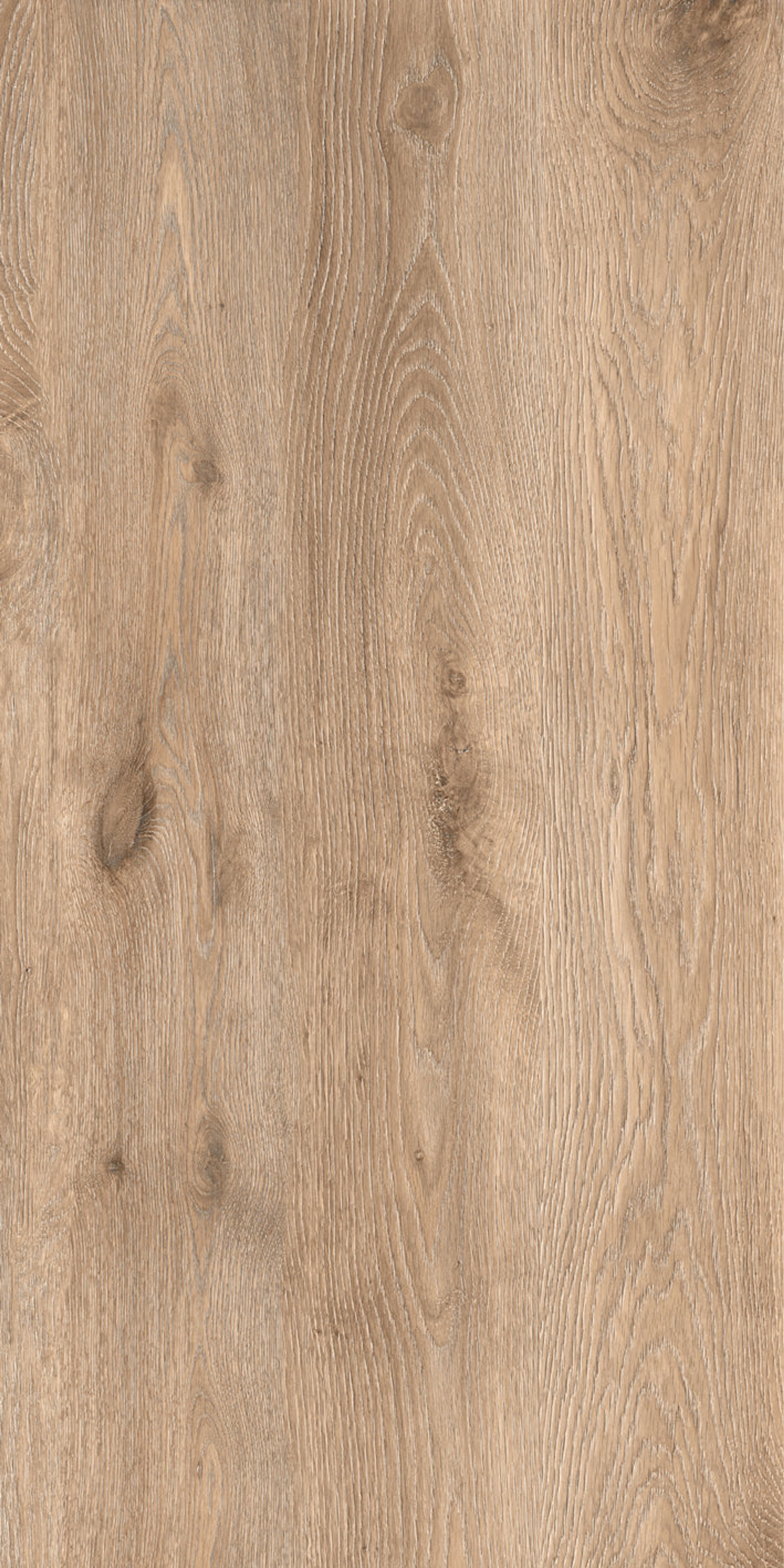 Maple Honey Plank, Maple Brown, Wood, Tiles - Vitrified - Full Body, 4 x 2 ft, 9 mm
