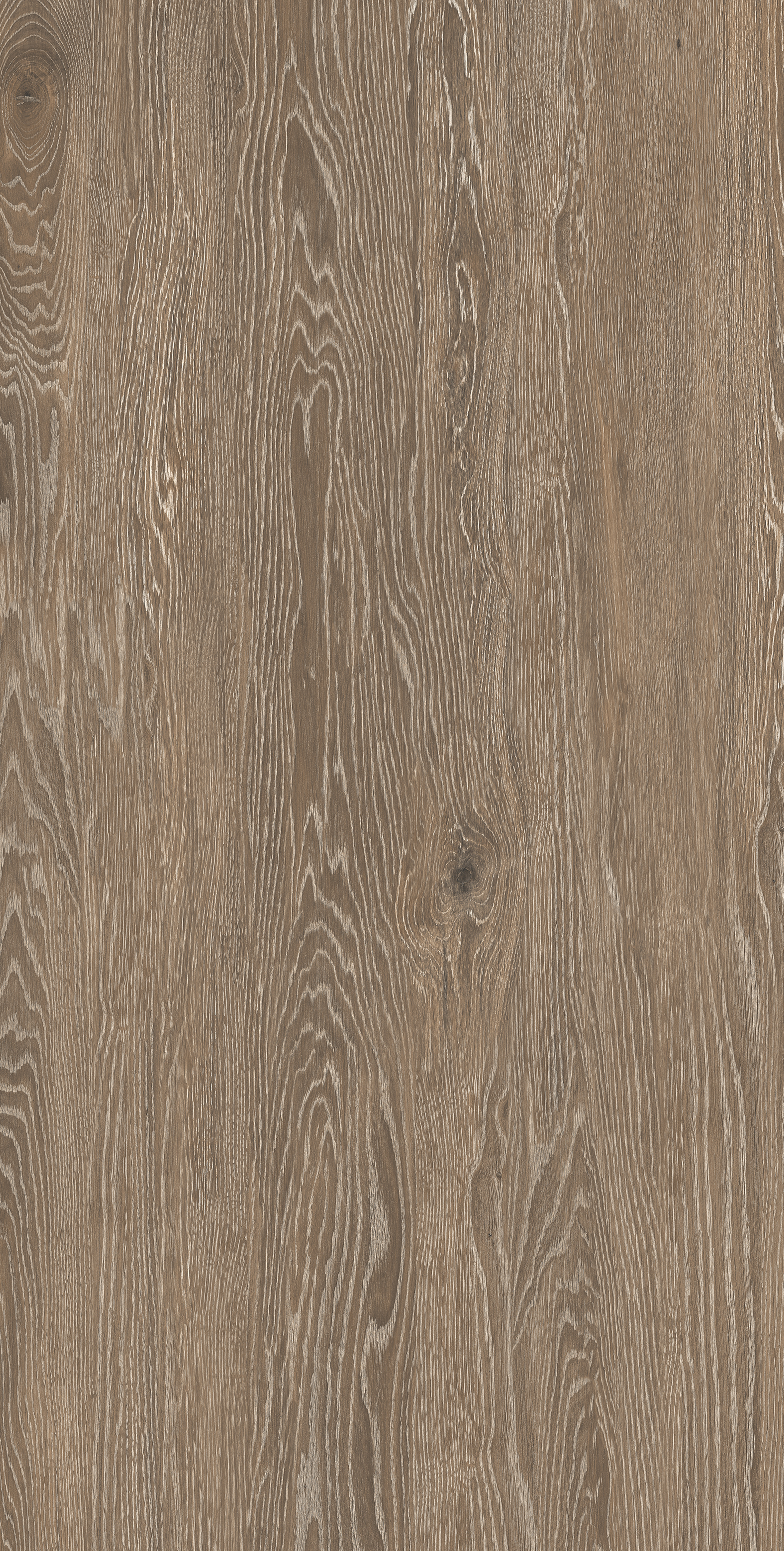Oak Honey Plank, Dark Brown, Wood, Tiles - Vitrified - Full Body, 4 x 2 ft, 9 mm