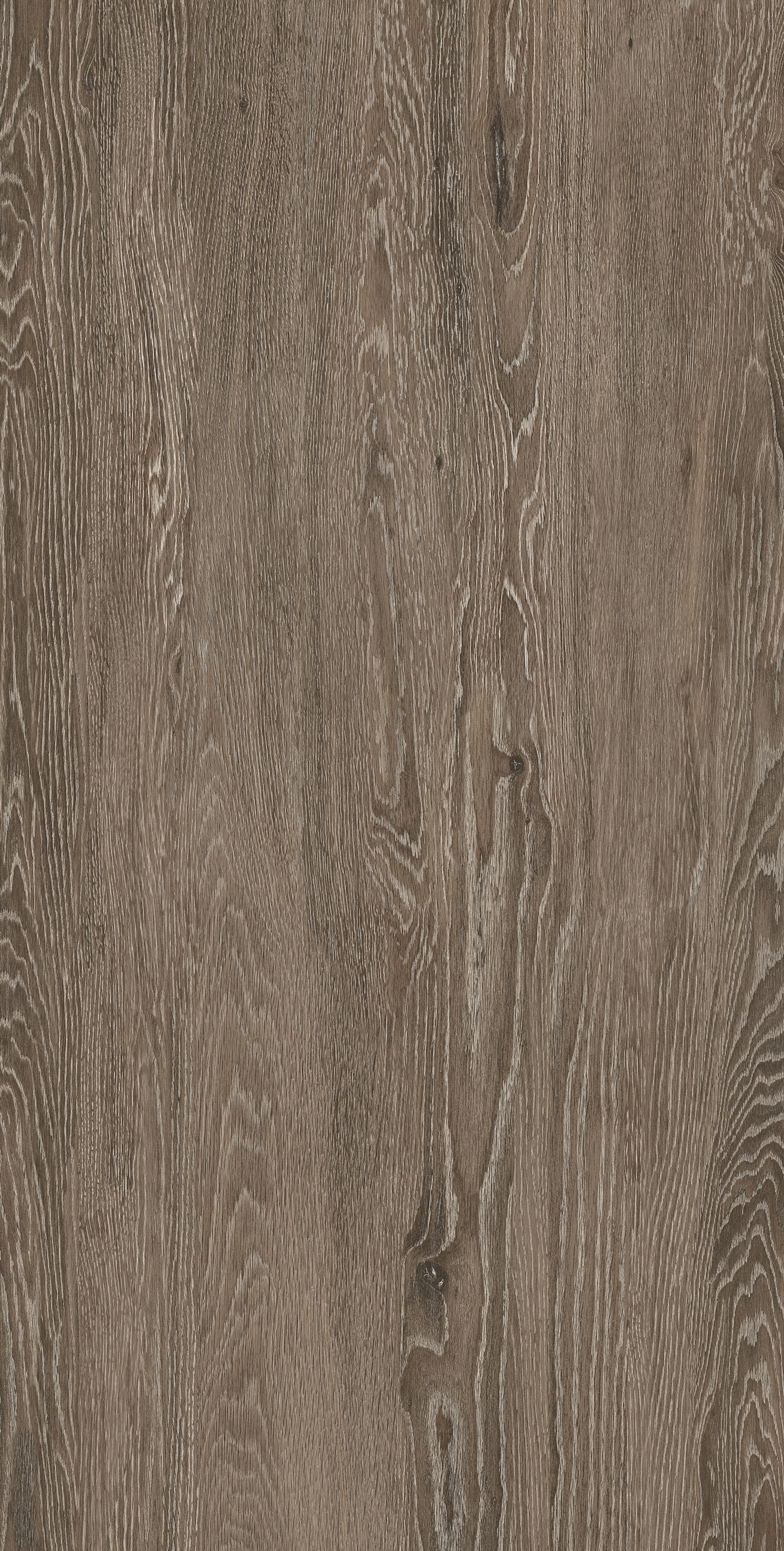 Caldera Moka Wood Plank, Dark Brown, Wood, Tiles - Vitrified - Full Body, 4 x 2 ft, 9 mm