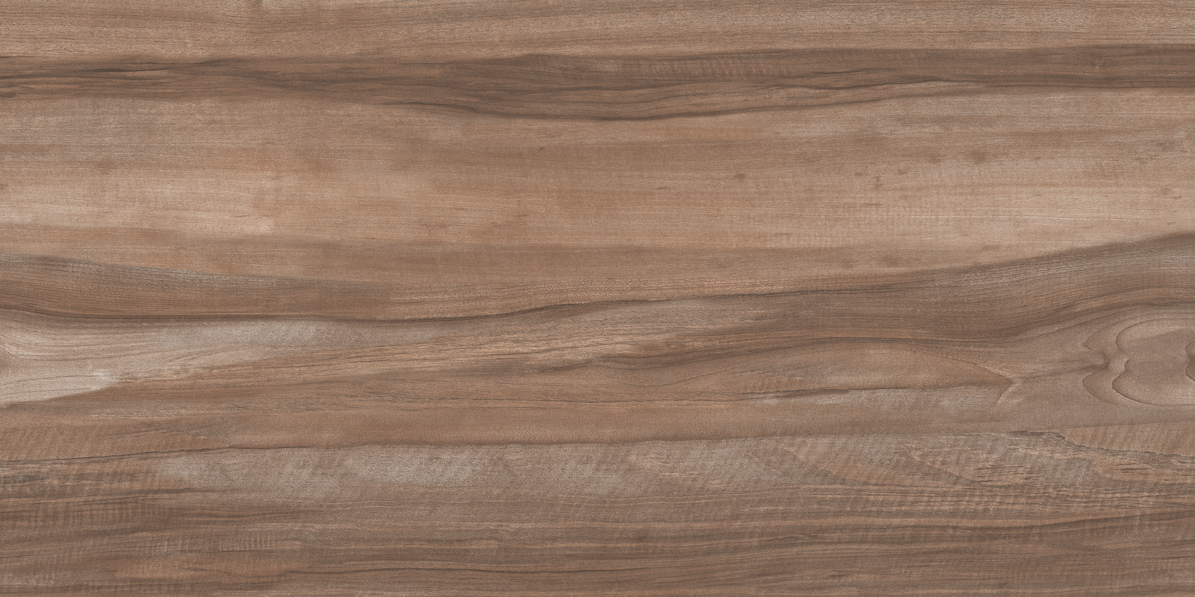 Historic Rosata Wood Plank, Dark Brown, Wood, Tiles - Vitrified - Full Body, 4 x 0.6 ft, 9 mm