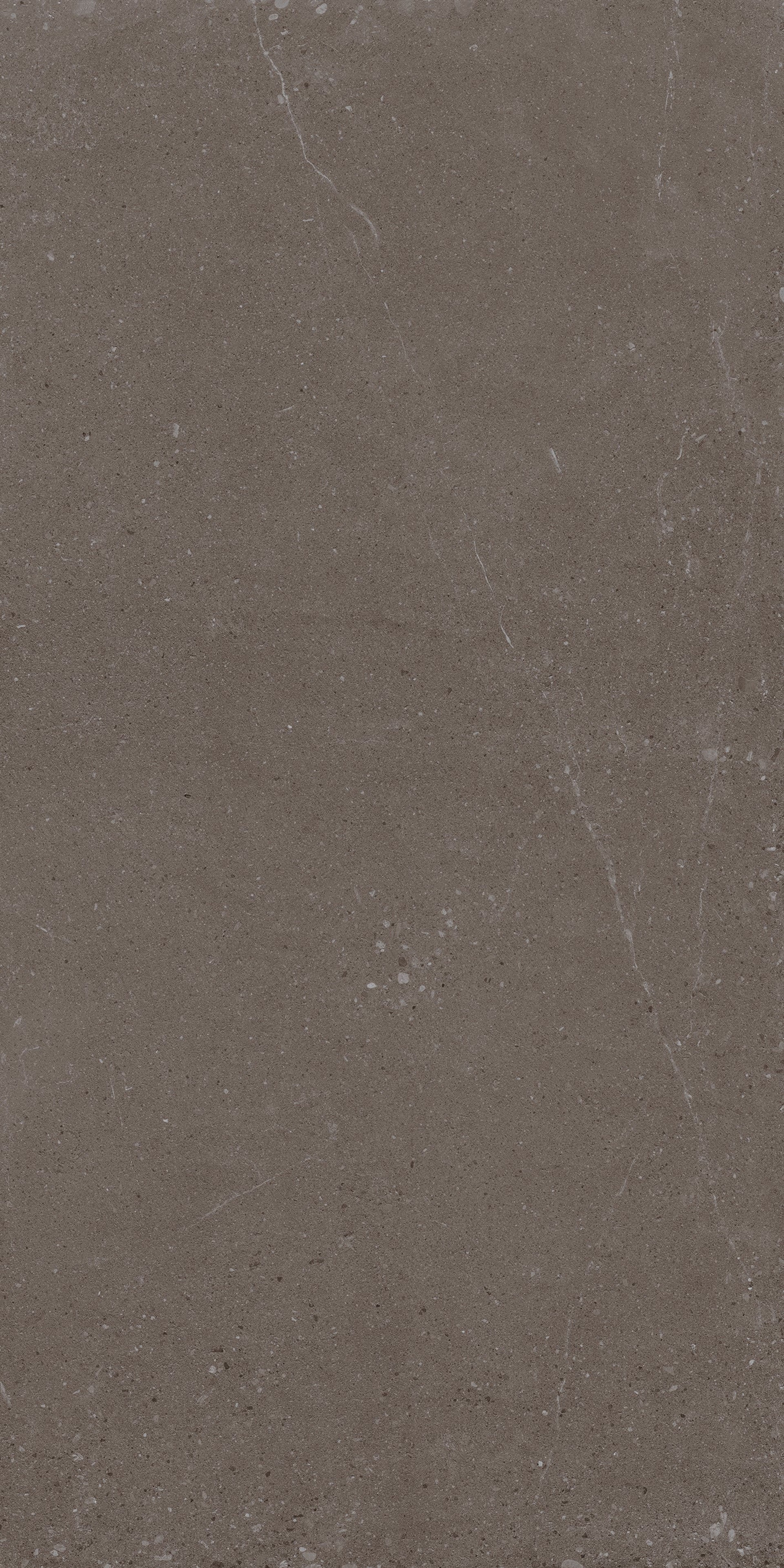 Belmond Walnut, Grey, Stone, Tiles -, 4 x 2 ft, 8.5 mm