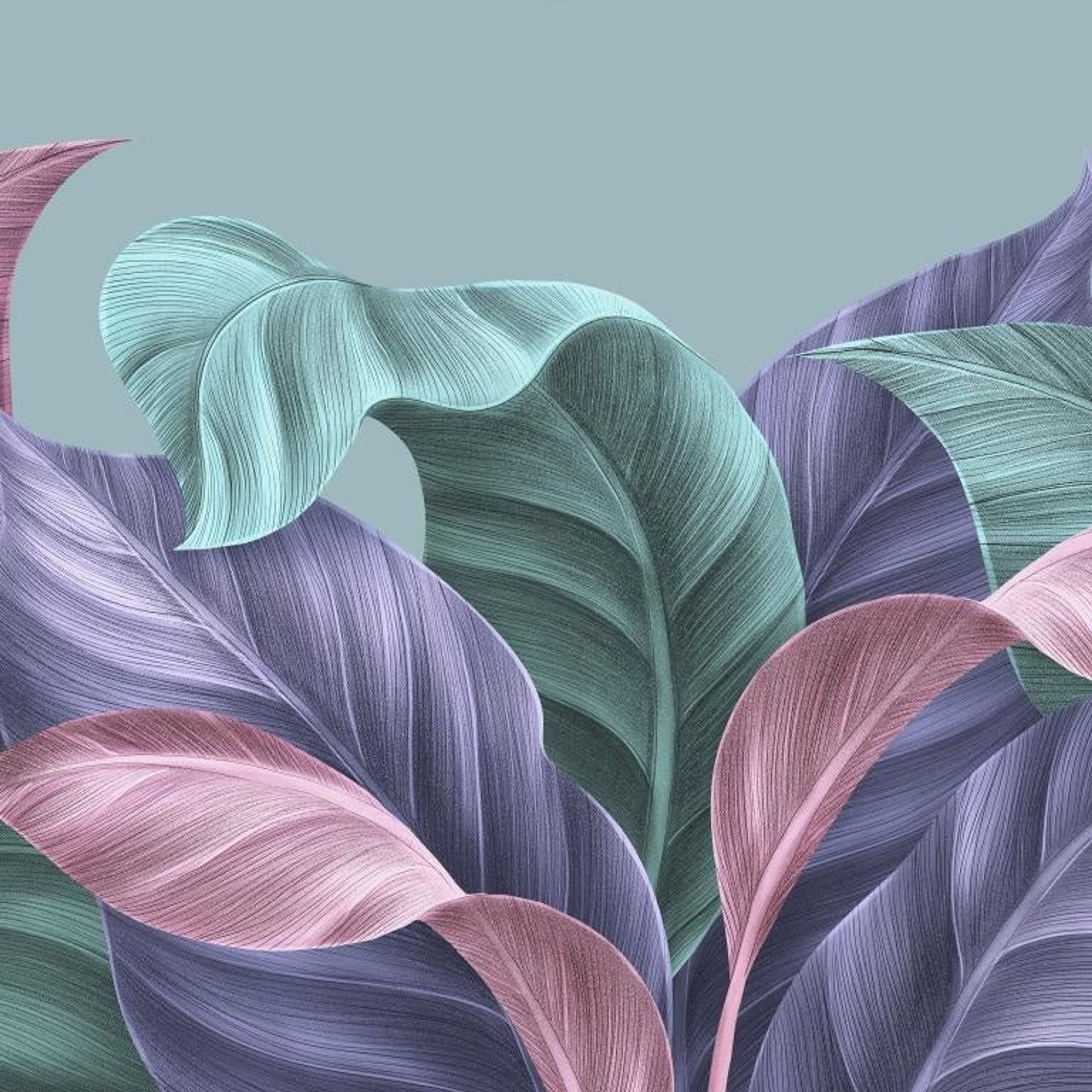Rainbow Garden, Botanical Tales, Wallpaper, 58 sft
