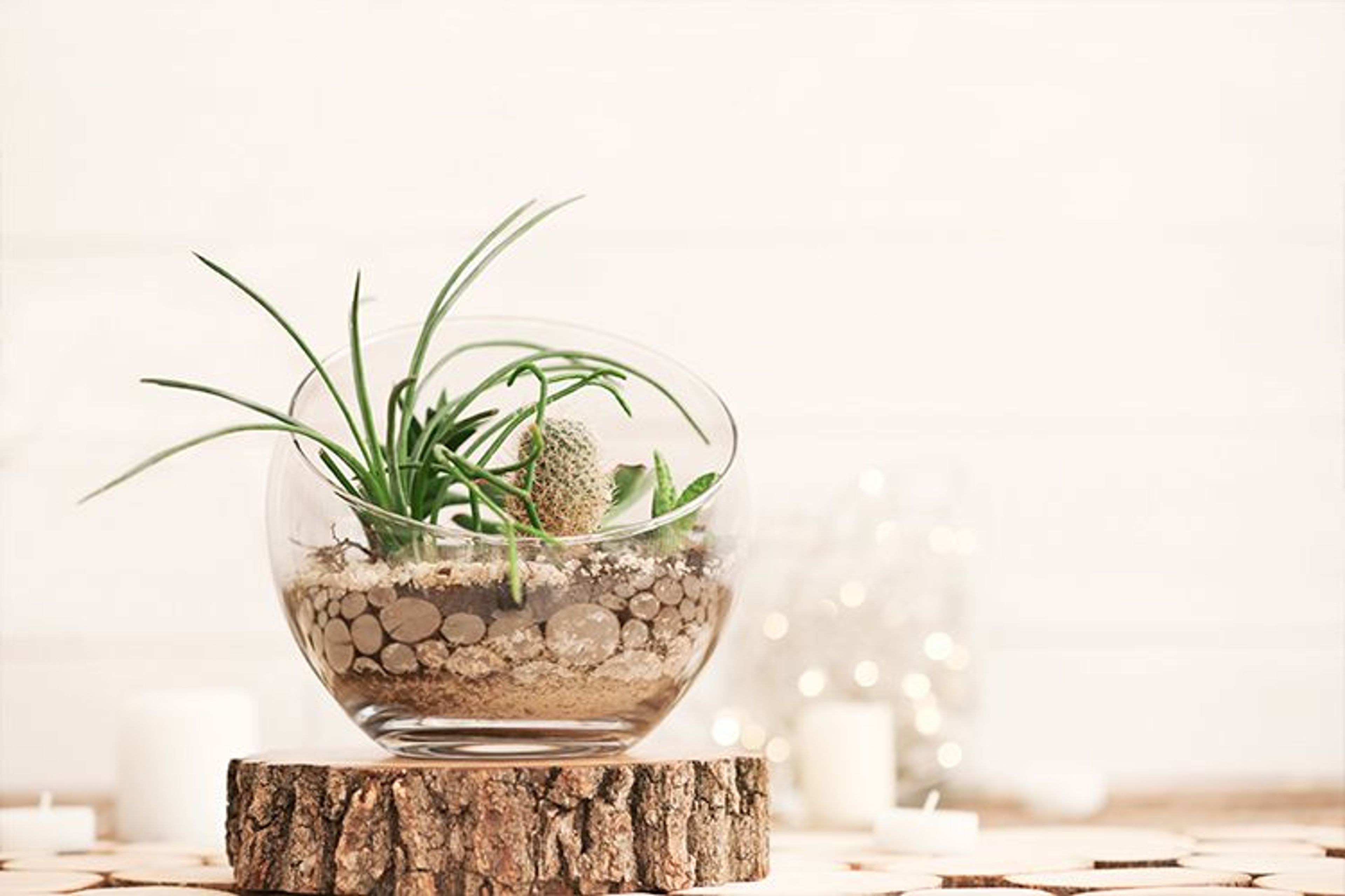 BlogCover 3