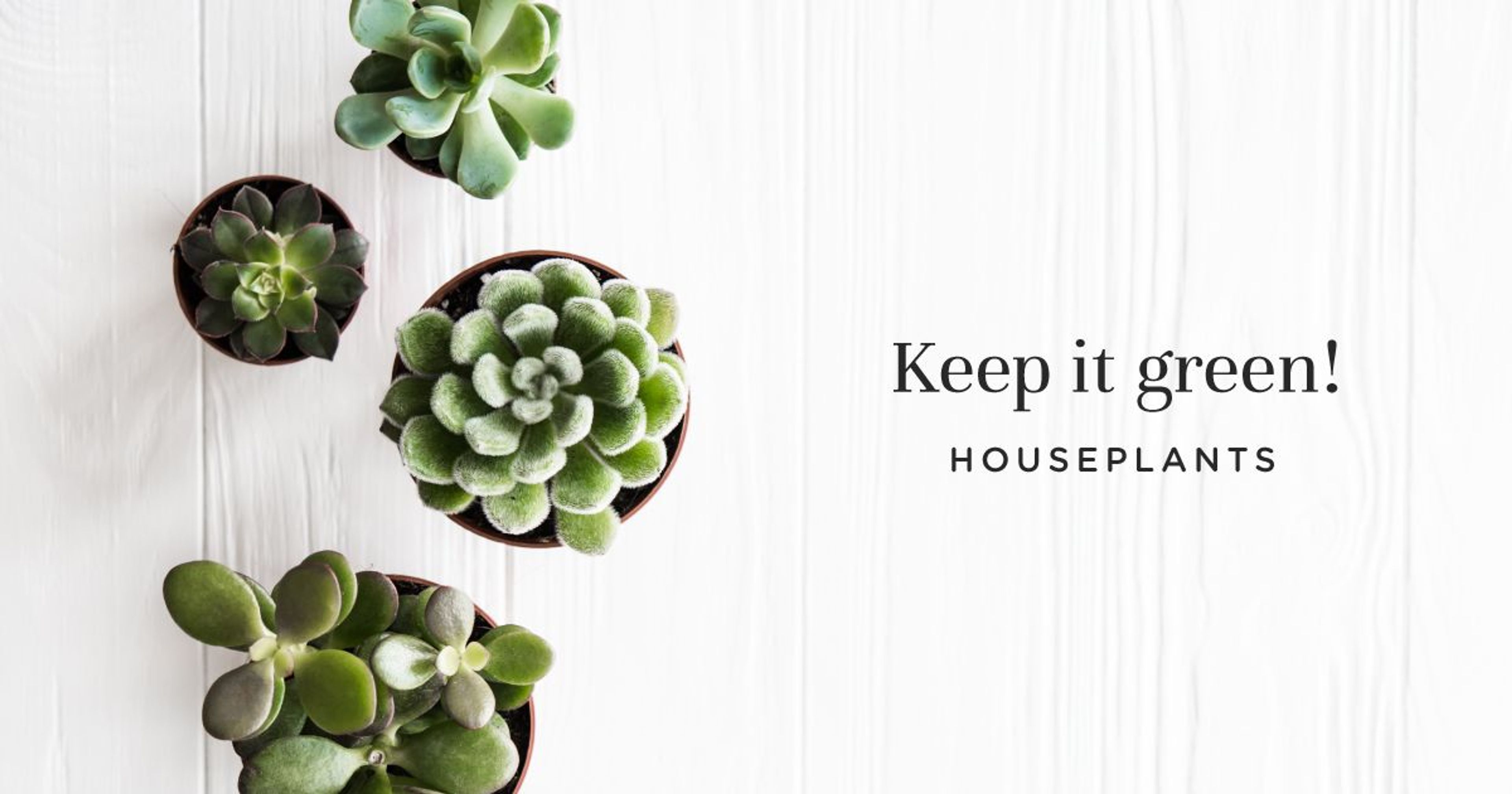 fb cover 1 2