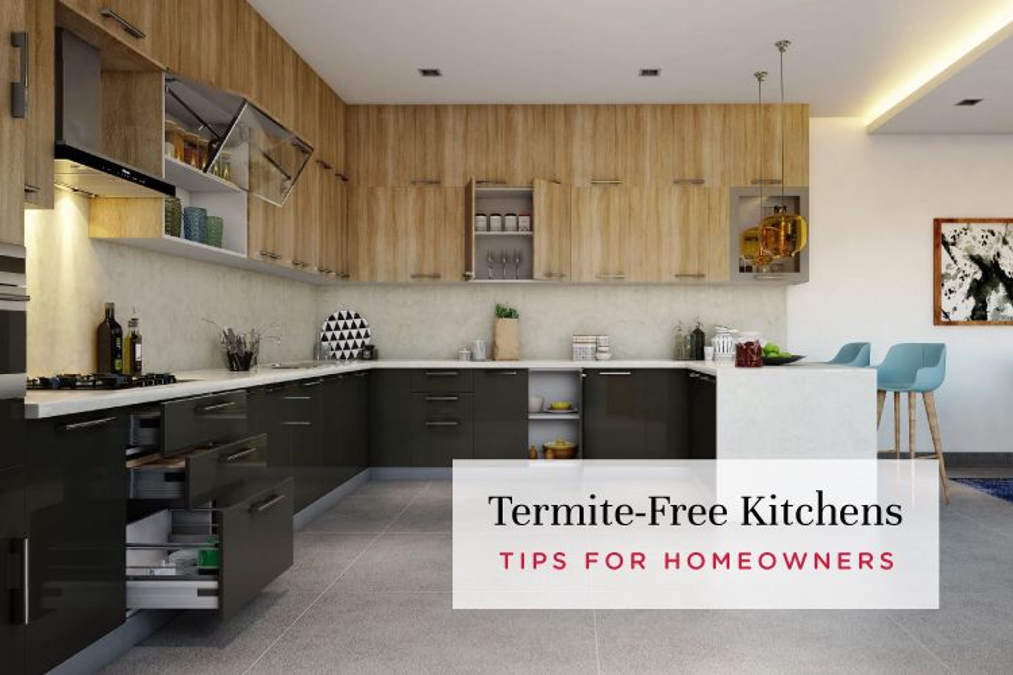 8 Tips To Ensure Your Kitchen is Termite-Free