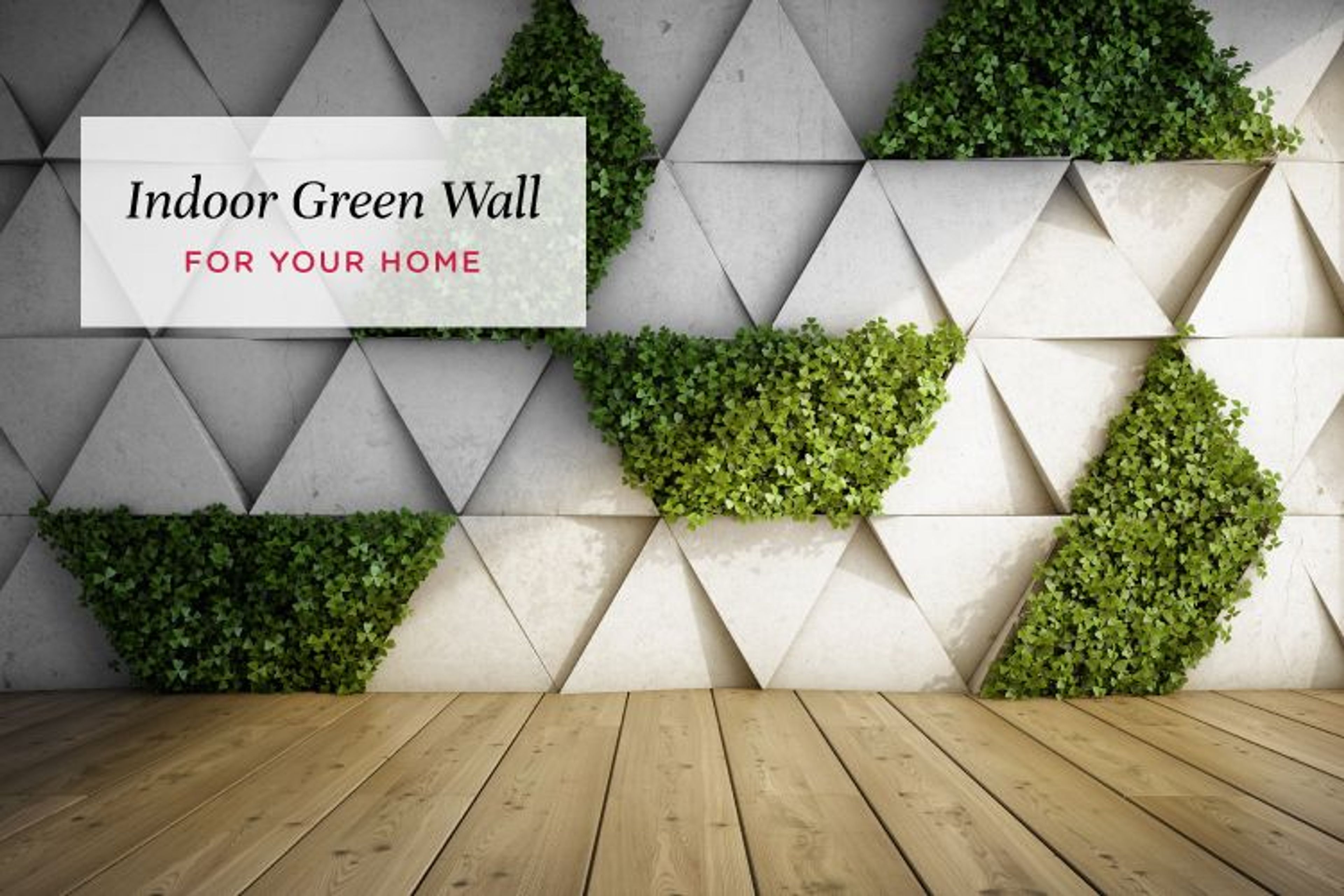How to Build a Vertical Garden Indoors