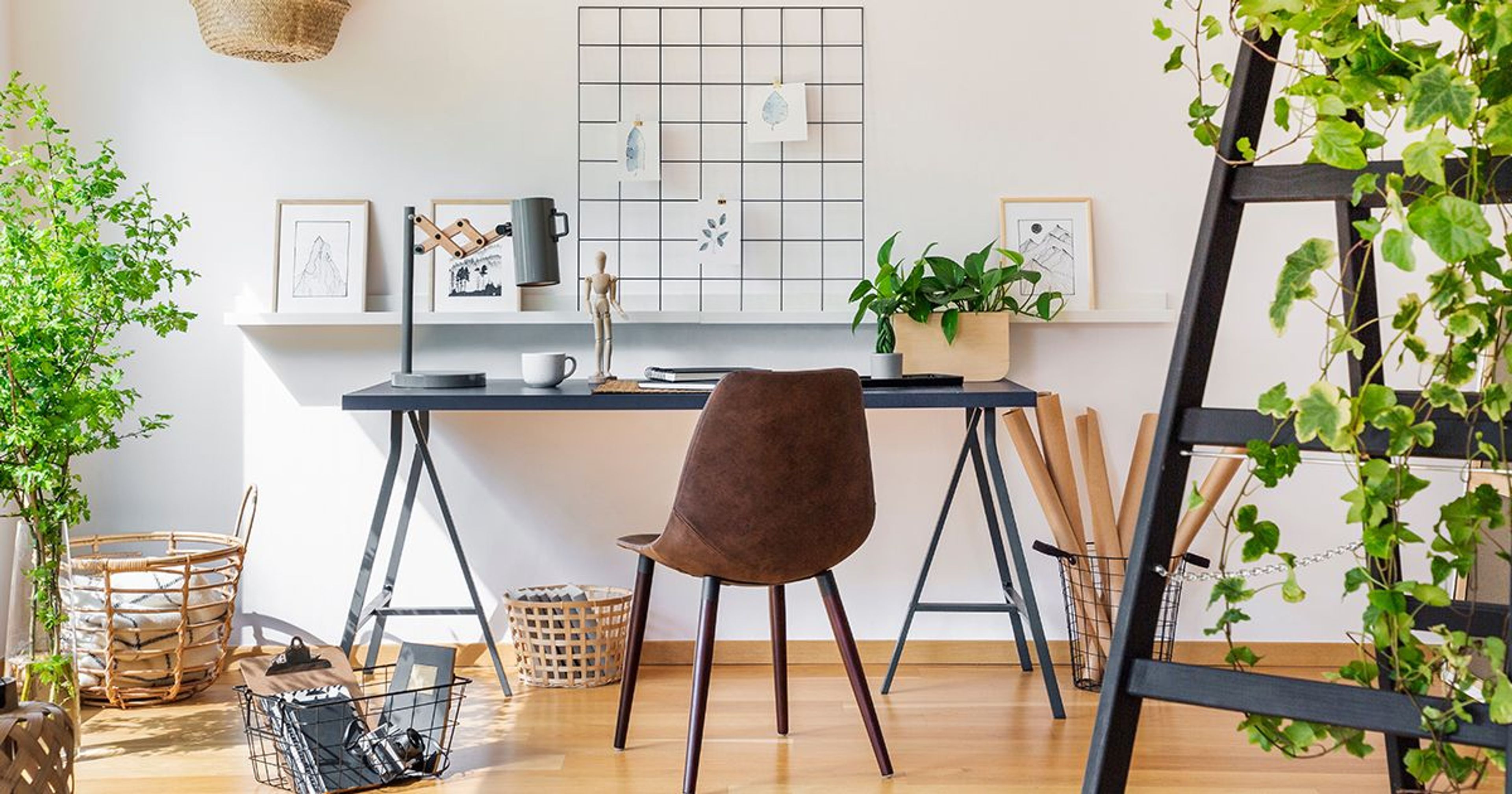 10 Best Low Maintenance Plants For Your Office