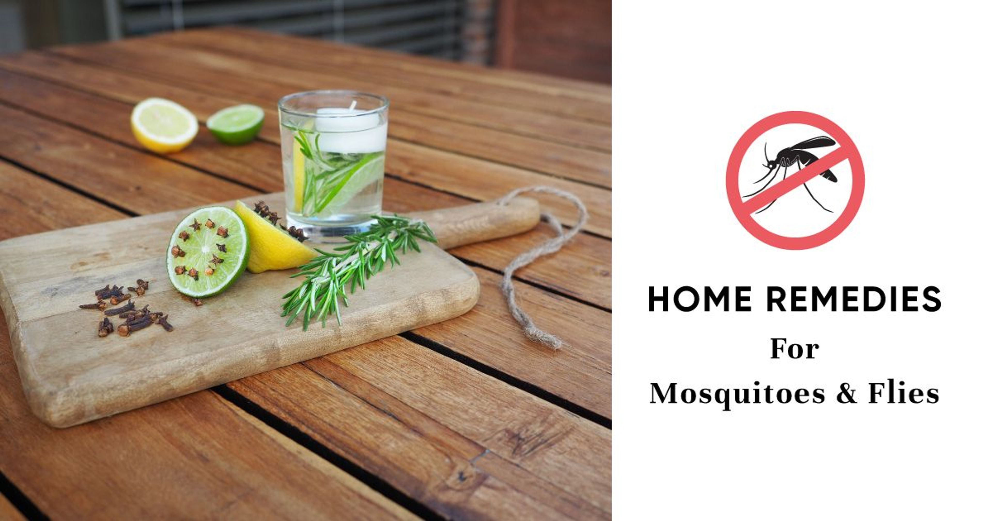 Chemical-free Ways to Get Rid of Flies
