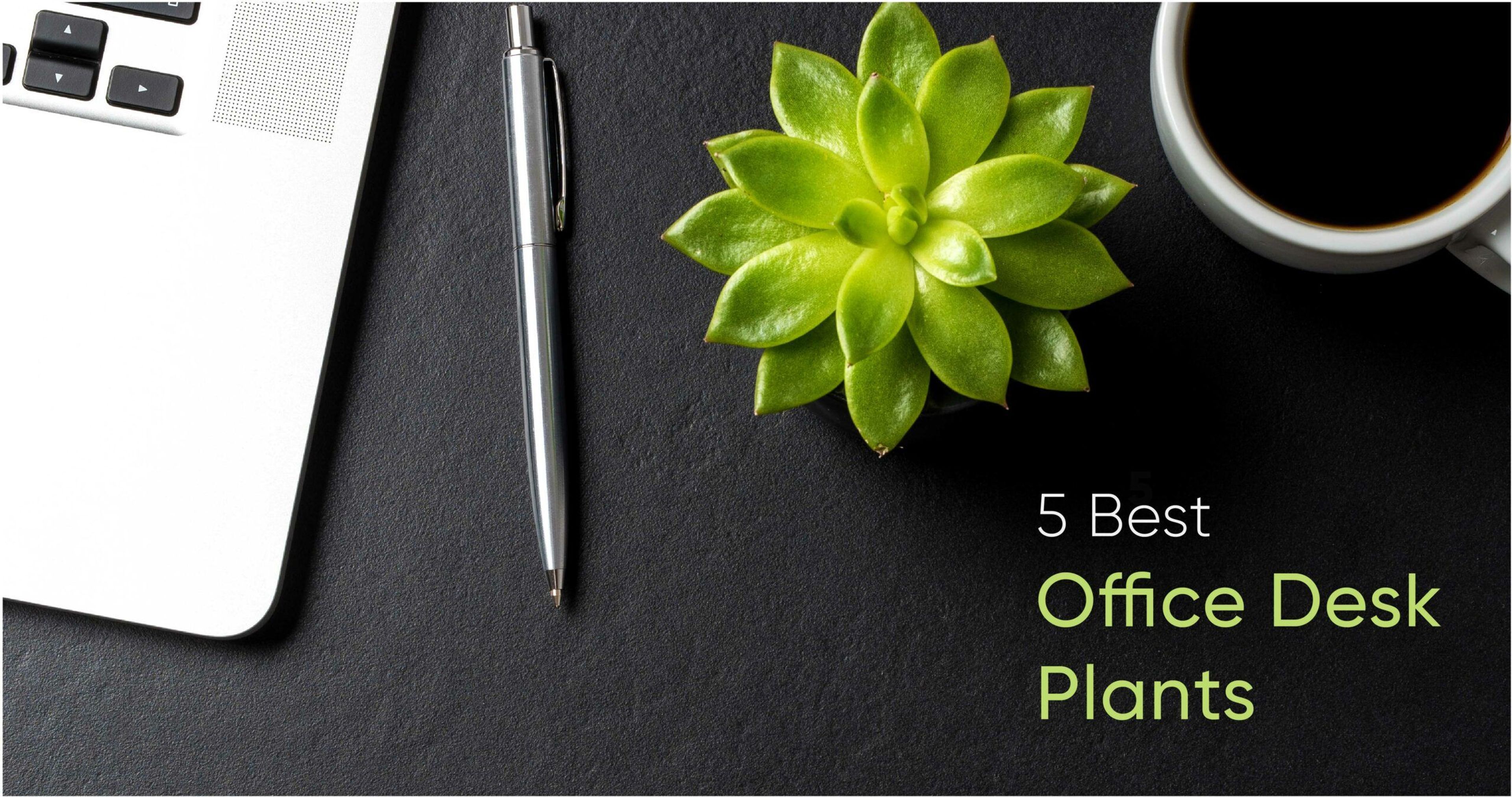 These Plants Will Make You Want to Work