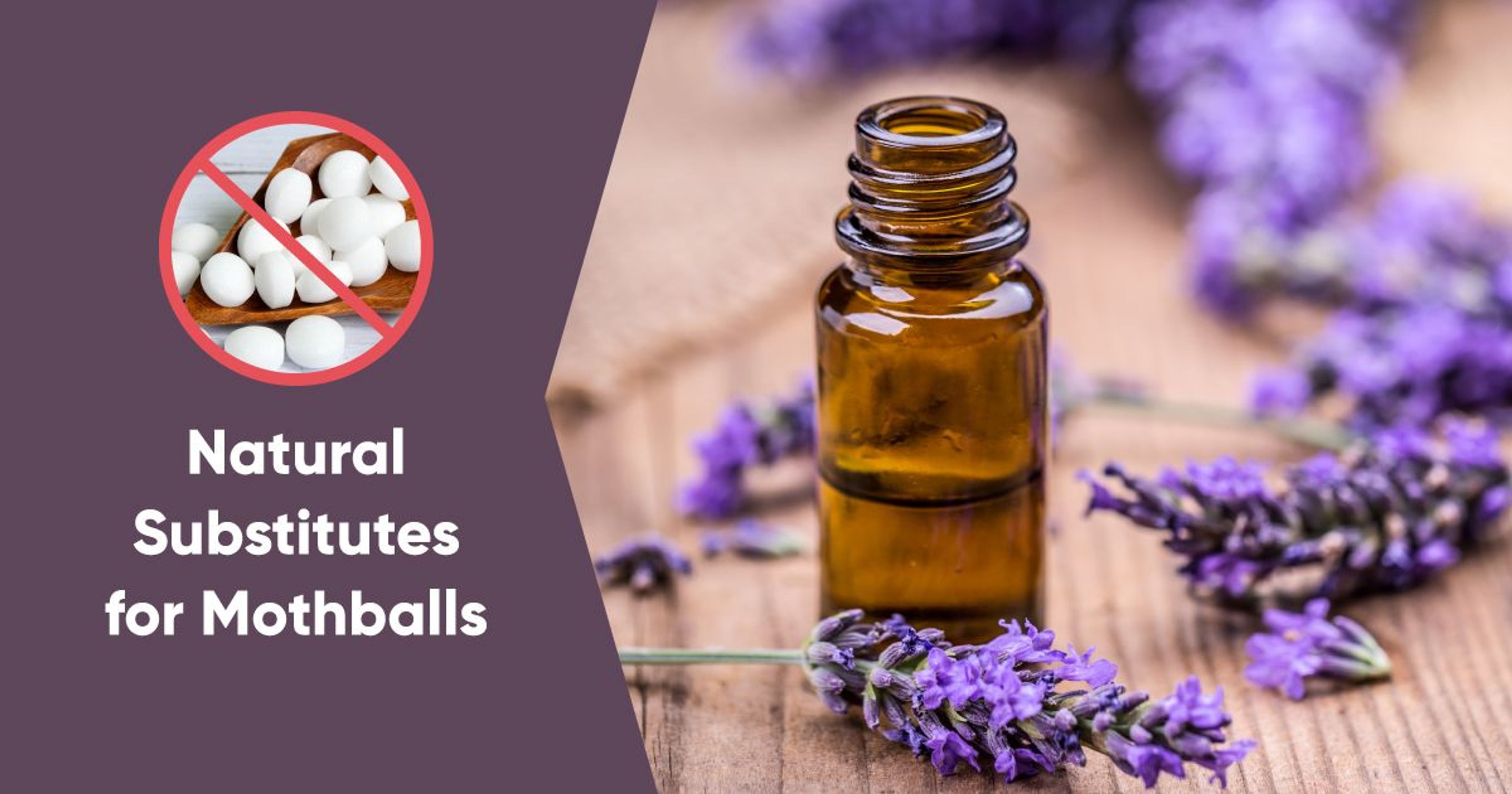 Sweet-smelling Alternatives to Naphthalene Balls to Protect Your Clothes