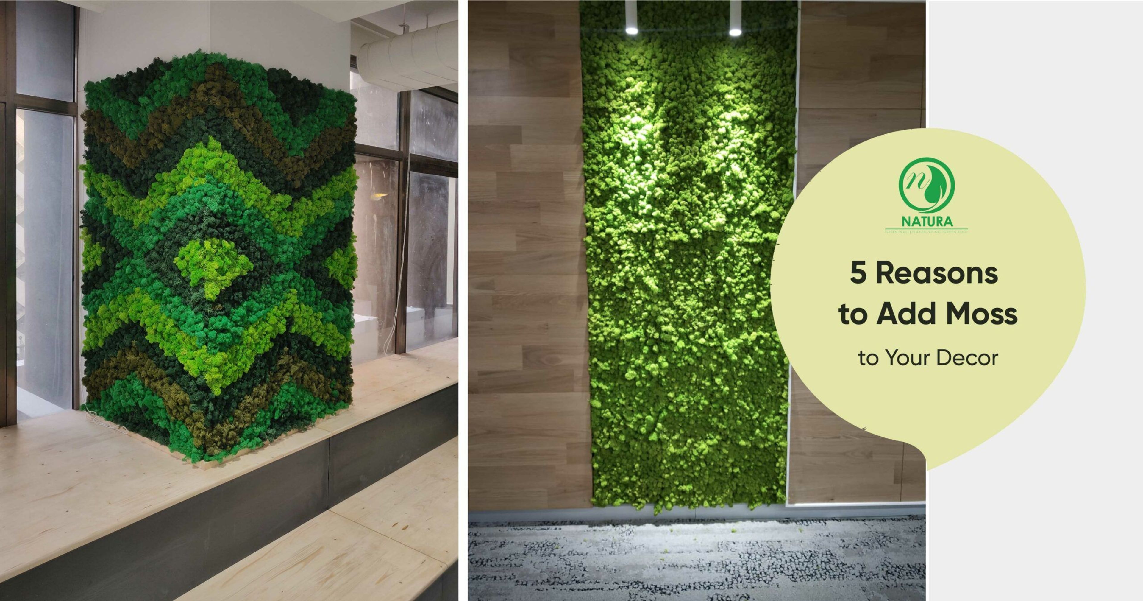 Collab Moss Walls 06 scaled