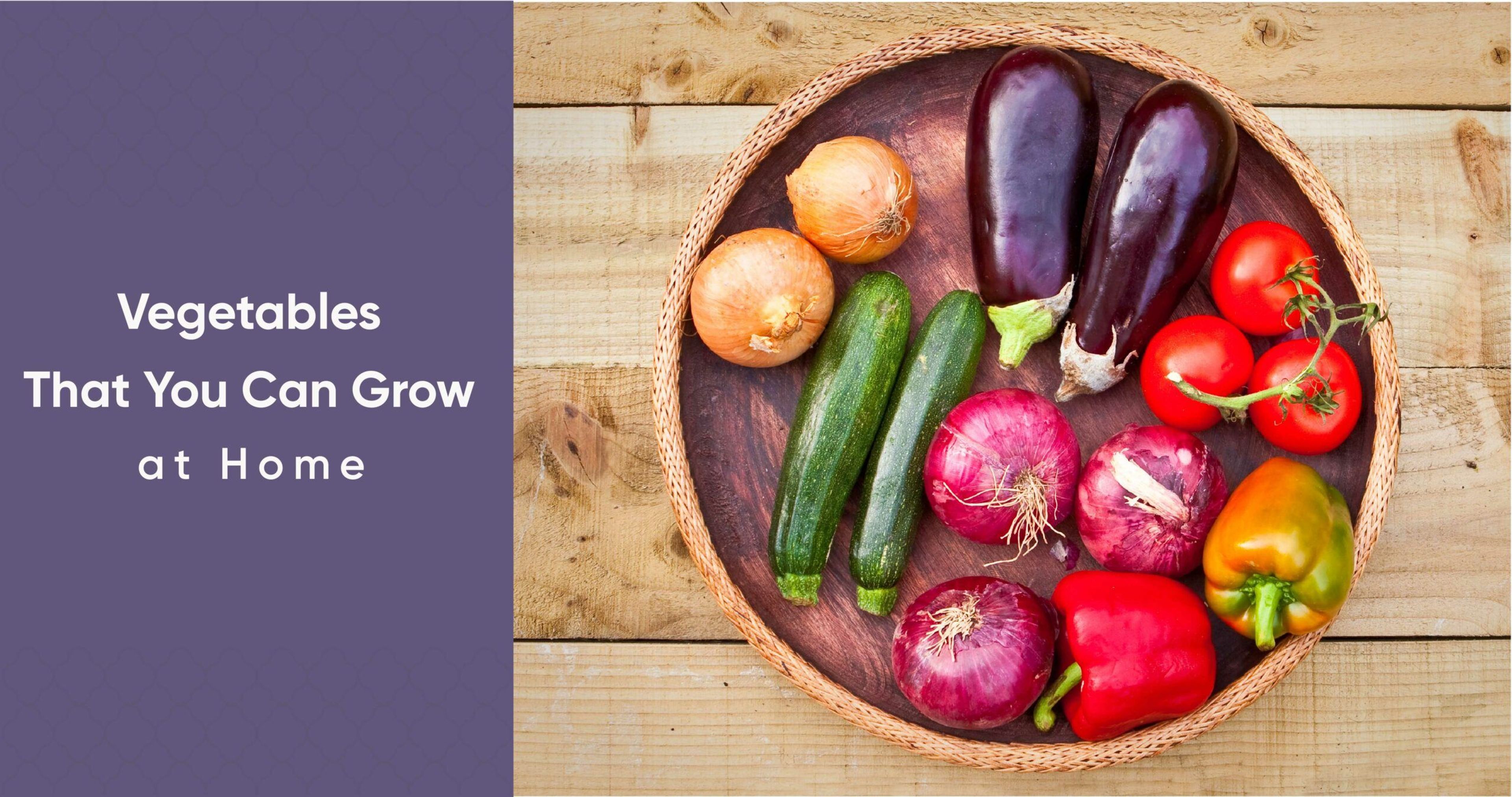 Why Buy When You Can Grow Your Own Vegetables at Home?